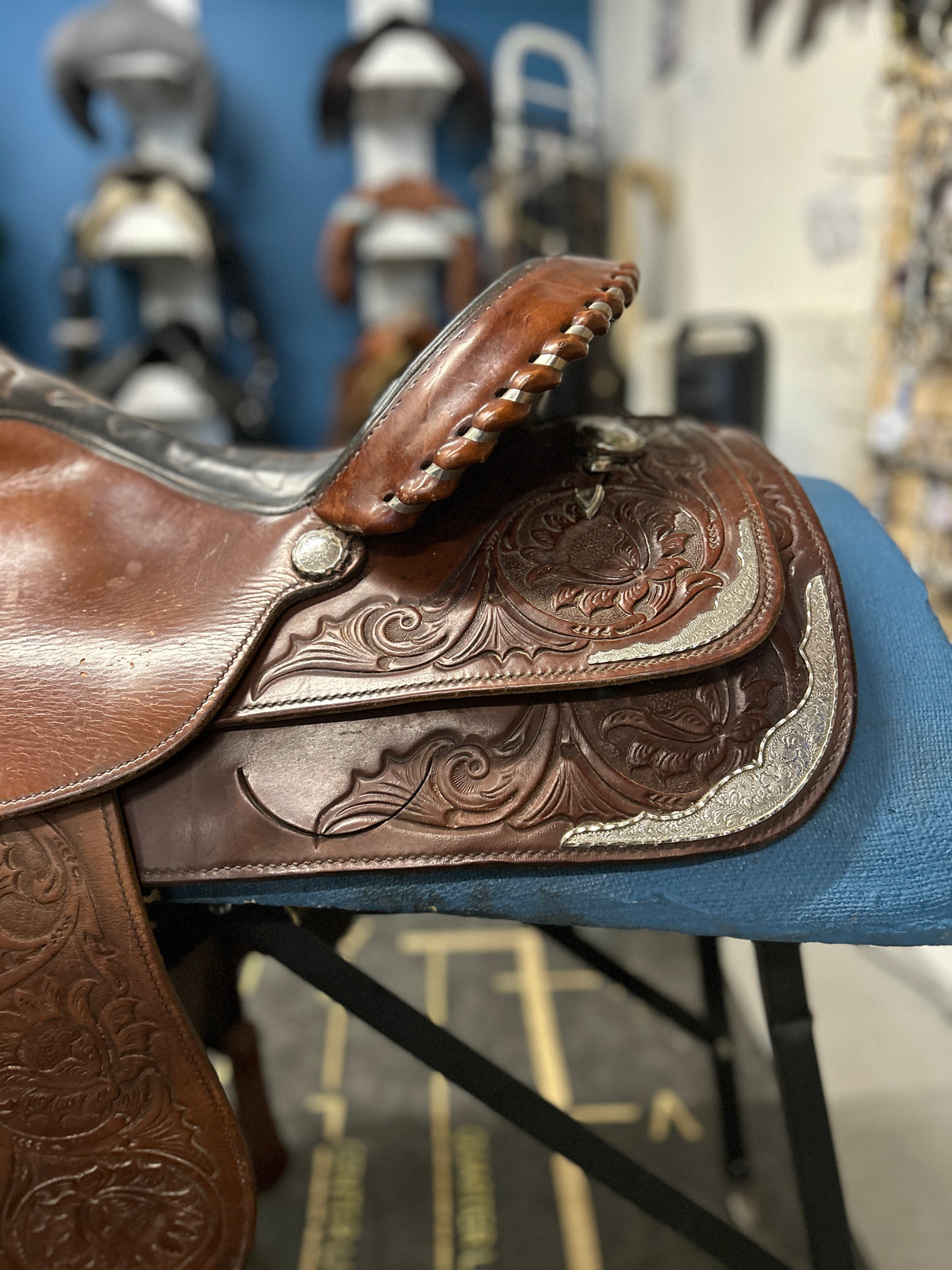 15" Circle Y Equitation Saddle-Saddle-Consignment-Evolution Equestrian Co.