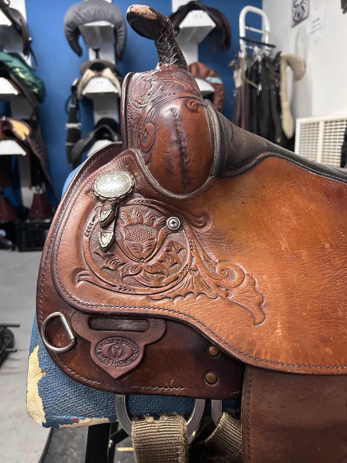 15" Circle Y Equitation Saddle-Saddle-Consignment-Evolution Equestrian Co.