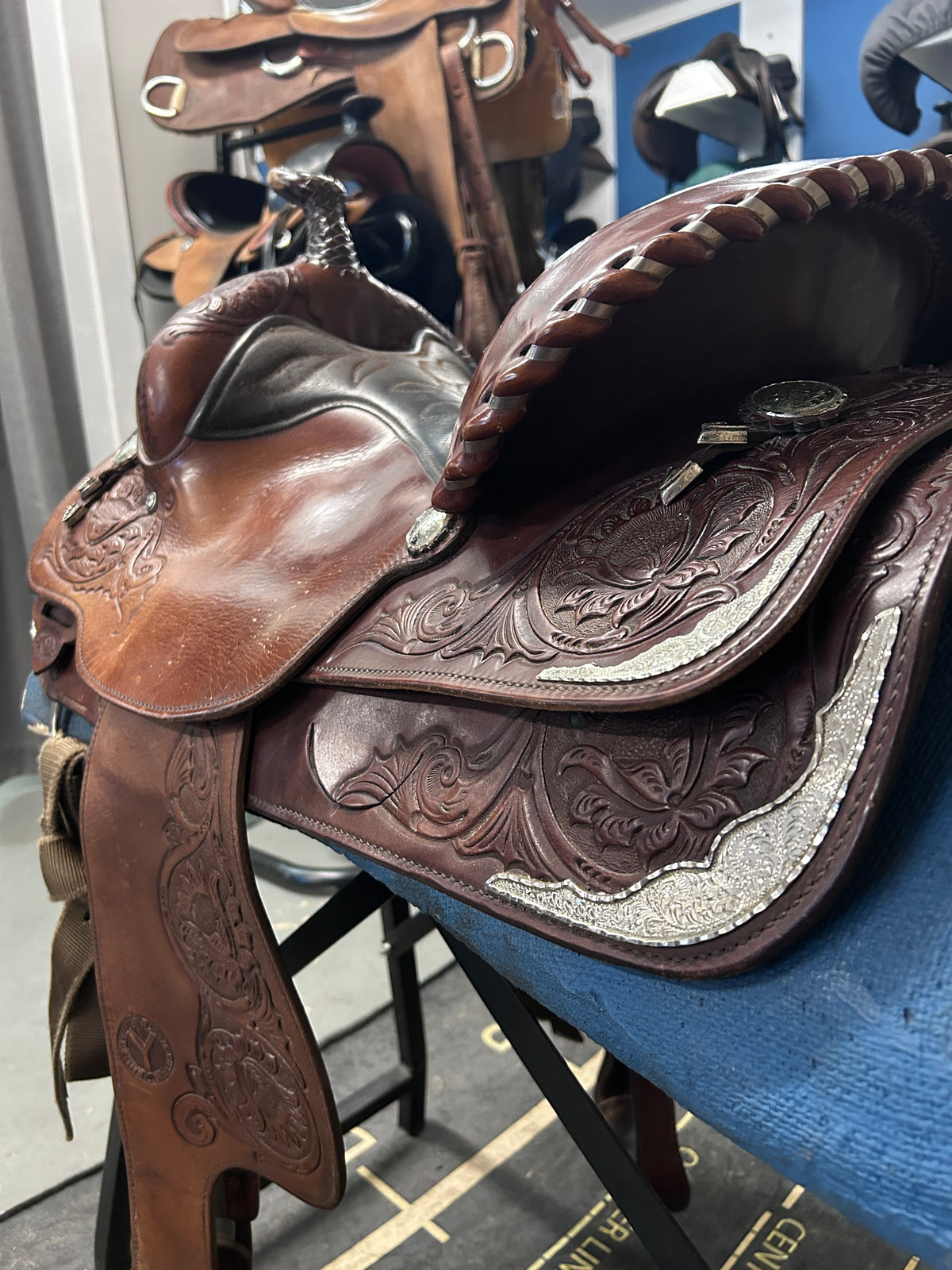 15" Circle Y Equitation Saddle-Saddle-Consignment-Evolution Equestrian Co.