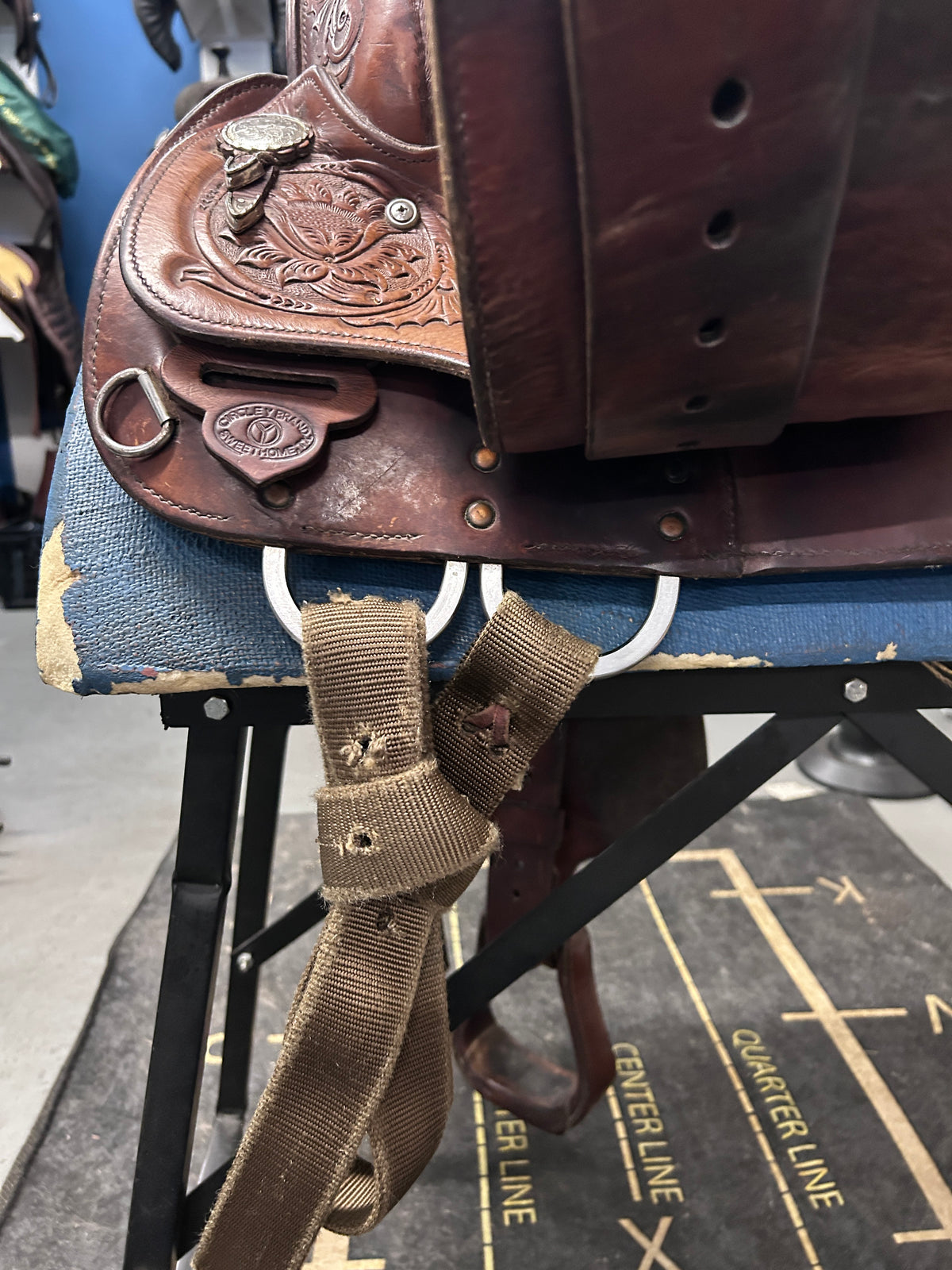 15" Circle Y Equitation Saddle-Saddle-Consignment-Evolution Equestrian Co.