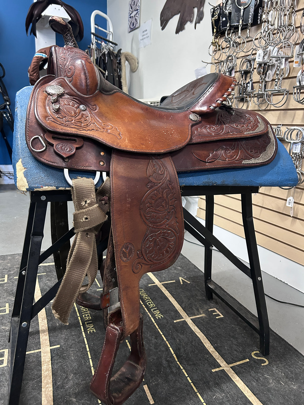 15" Circle Y Equitation Saddle-Saddle-Consignment-Evolution Equestrian Co.