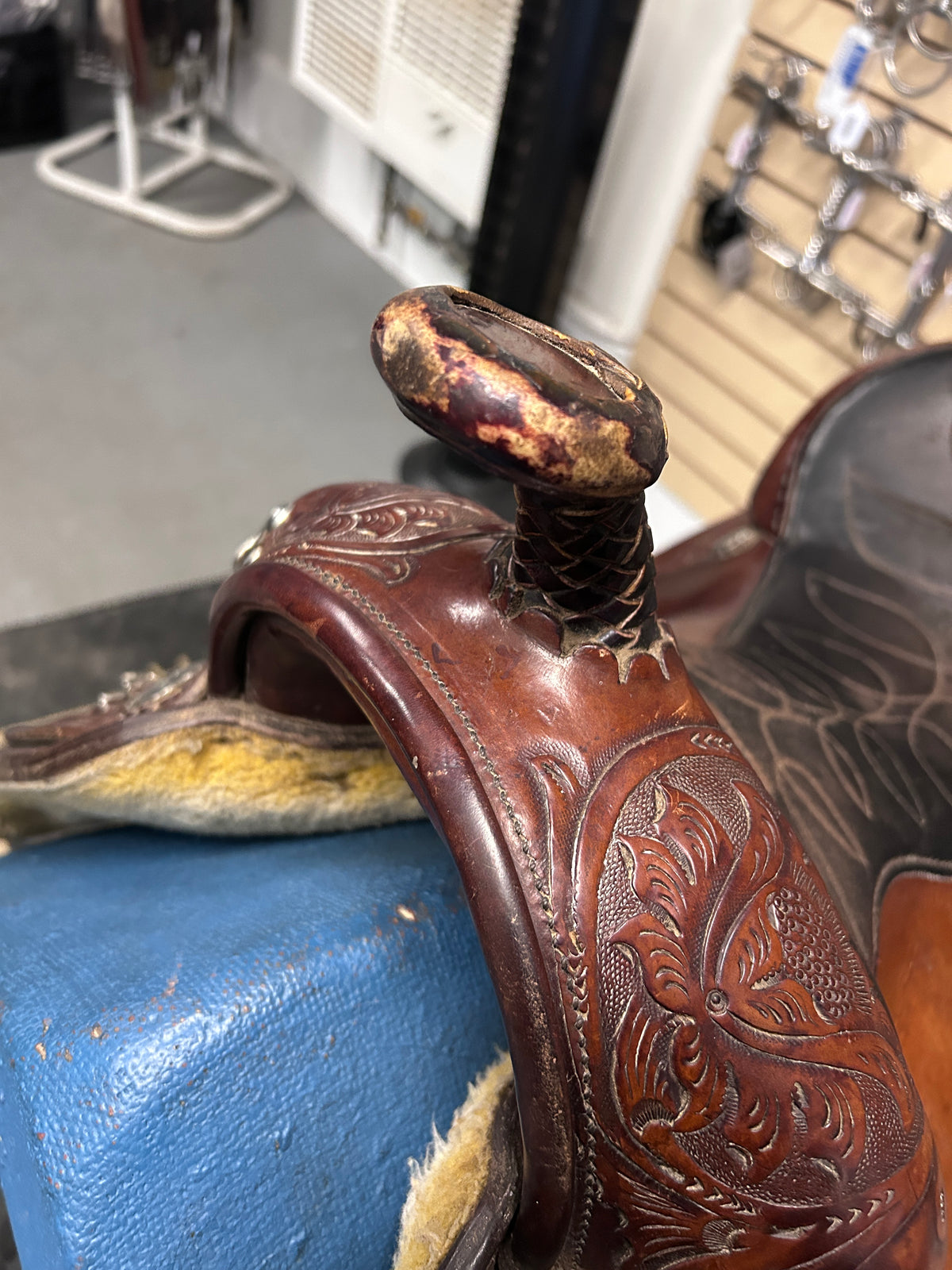 15" Circle Y Equitation Saddle-Saddle-Consignment-Evolution Equestrian Co.