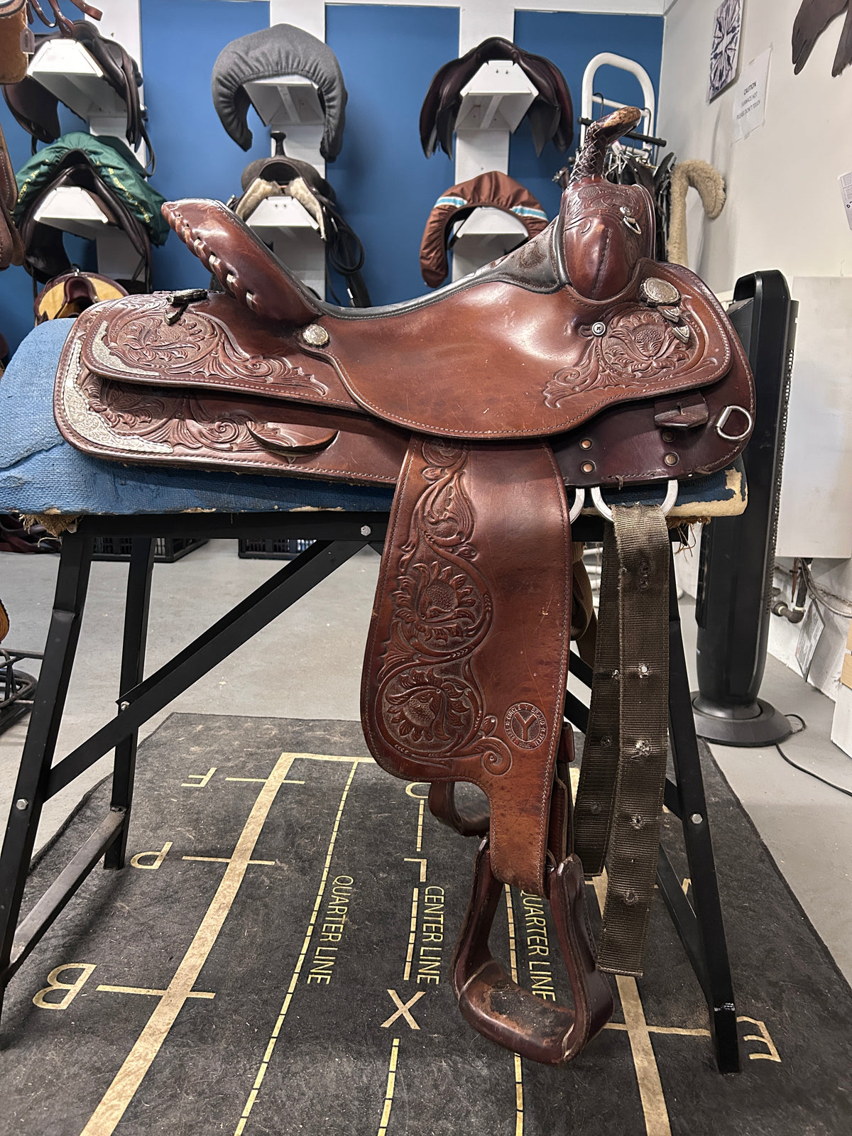 15" Circle Y Equitation Saddle-Saddle-Consignment-Evolution Equestrian Co.