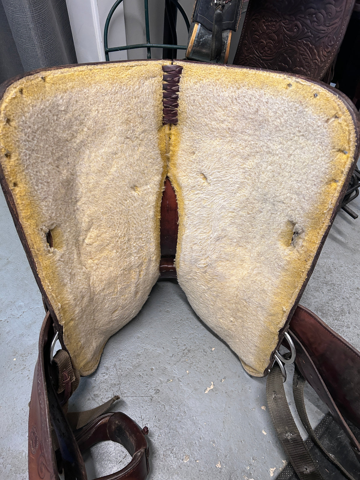 15" Circle Y Equitation Saddle-Saddle-Consignment-Evolution Equestrian Co.