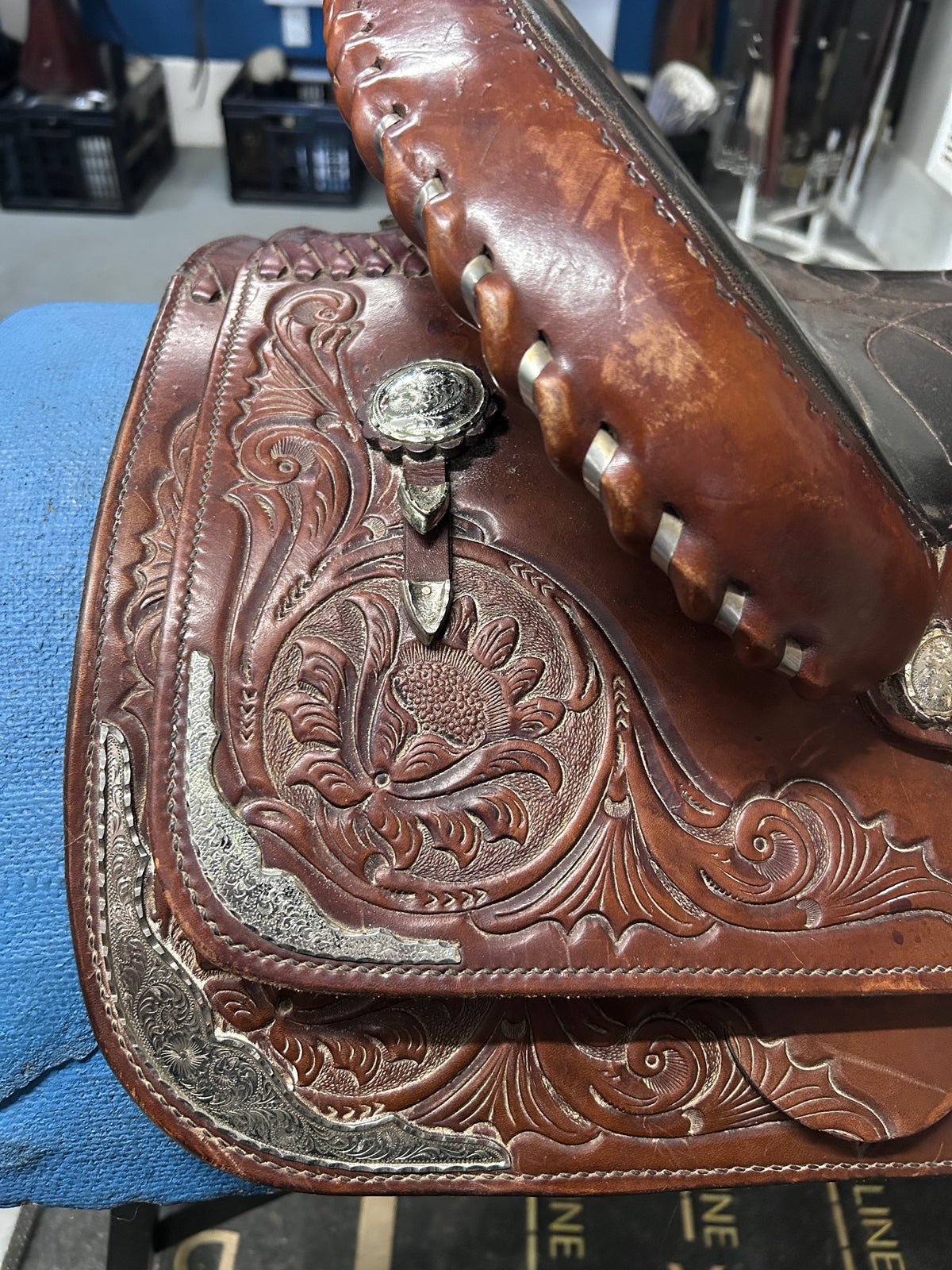 15" Circle Y Equitation Saddle-Saddle-Consignment-Evolution Equestrian Co.