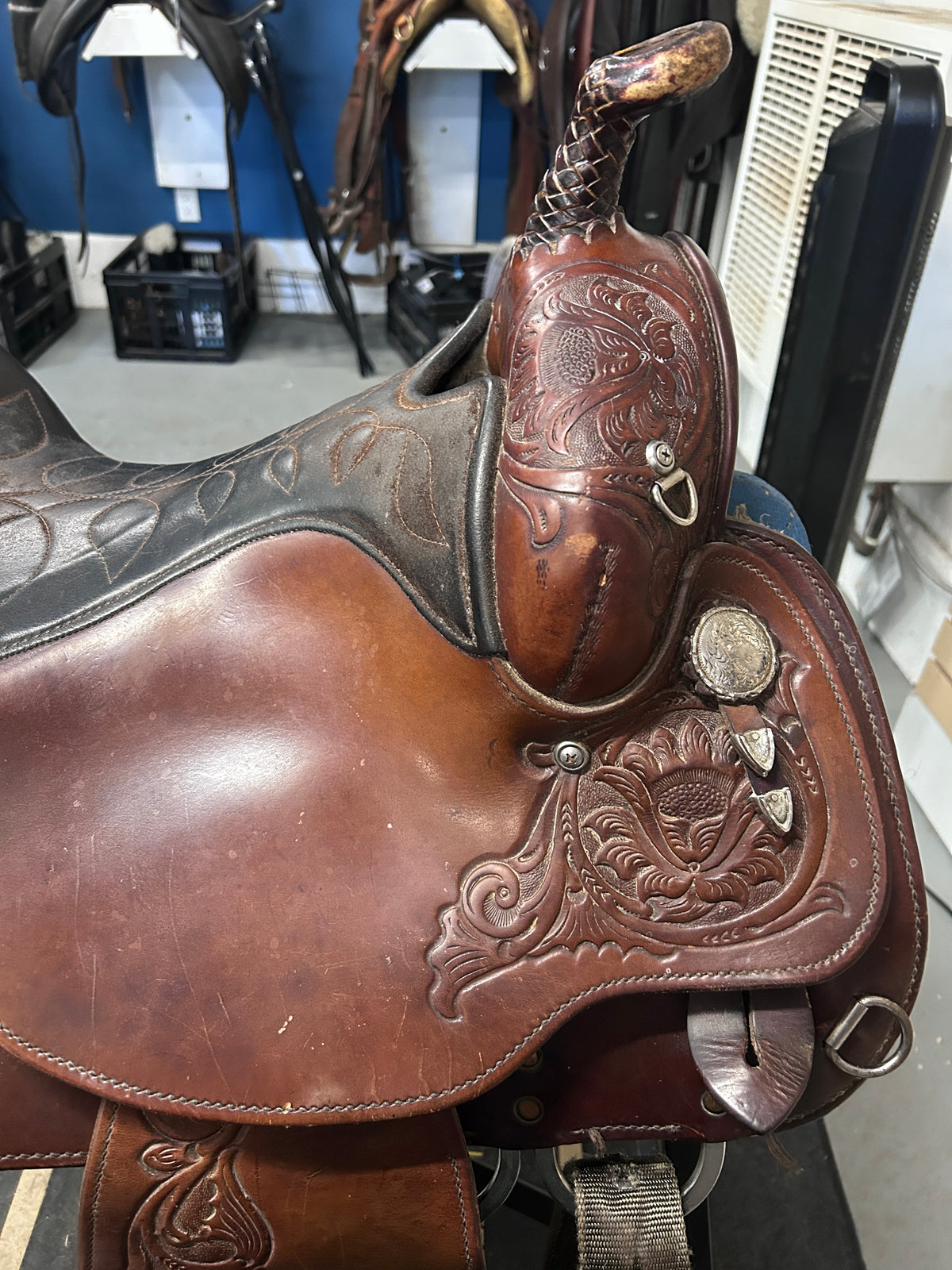 15" Circle Y Equitation Saddle-Saddle-Consignment-Evolution Equestrian Co.