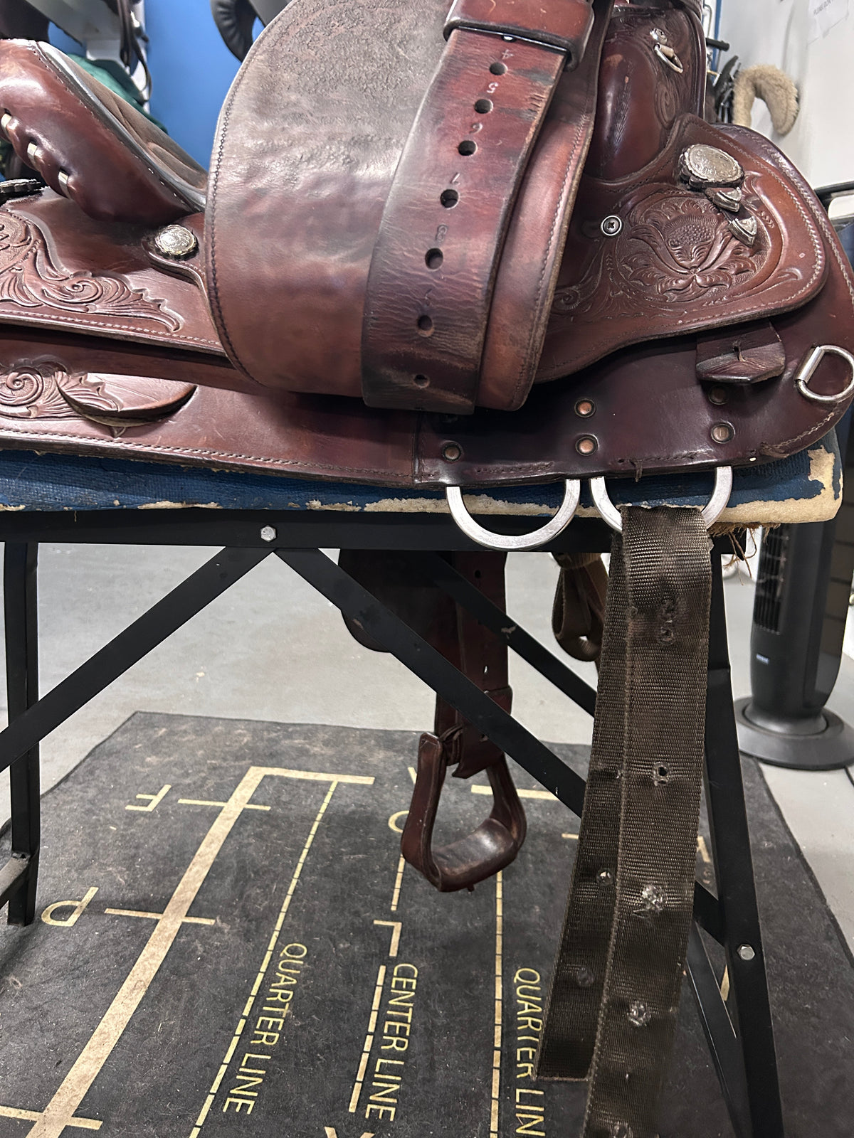 15" Circle Y Equitation Saddle-Saddle-Consignment-Evolution Equestrian Co.