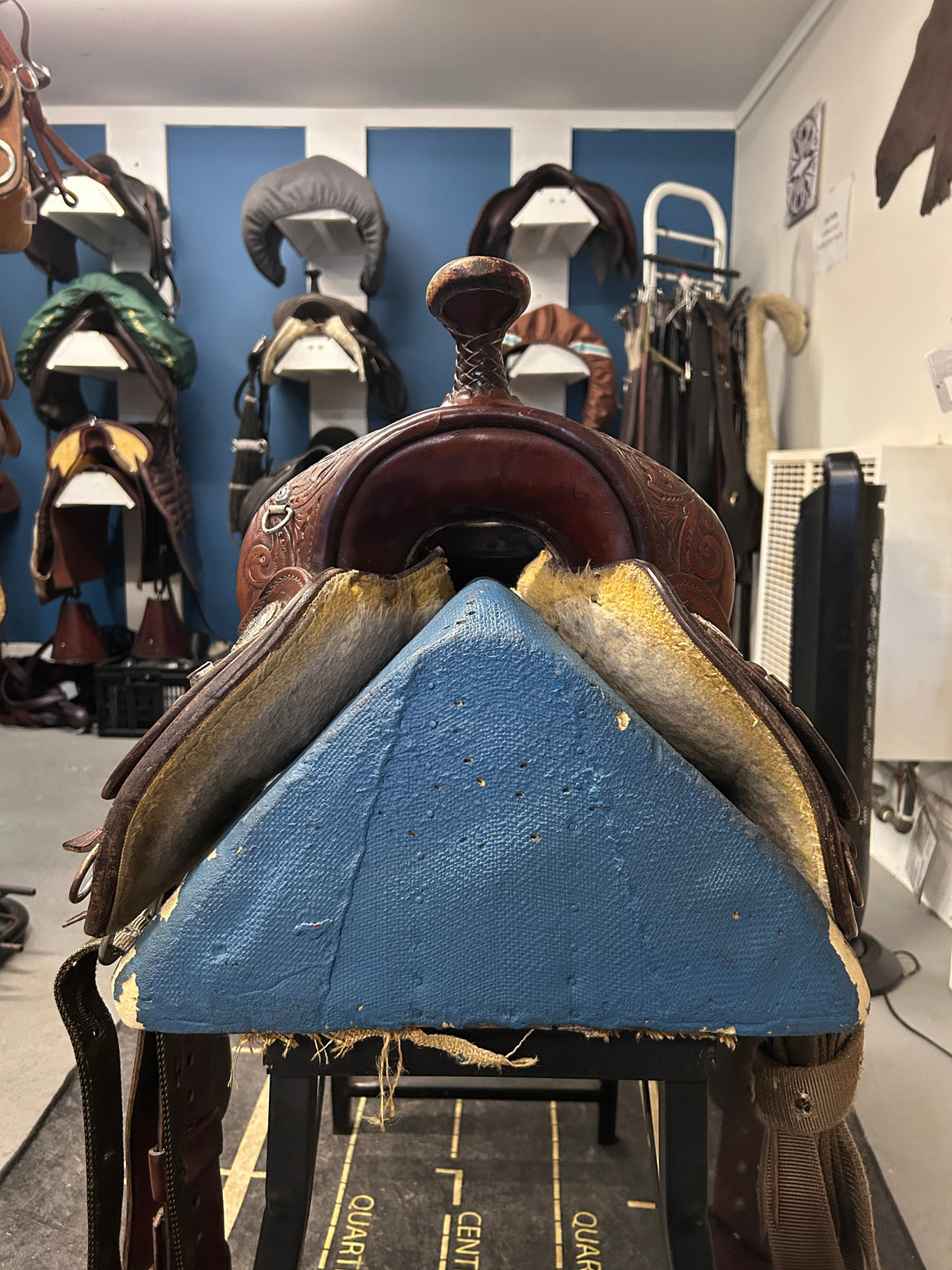 15" Circle Y Equitation Saddle-Saddle-Consignment-Evolution Equestrian Co.