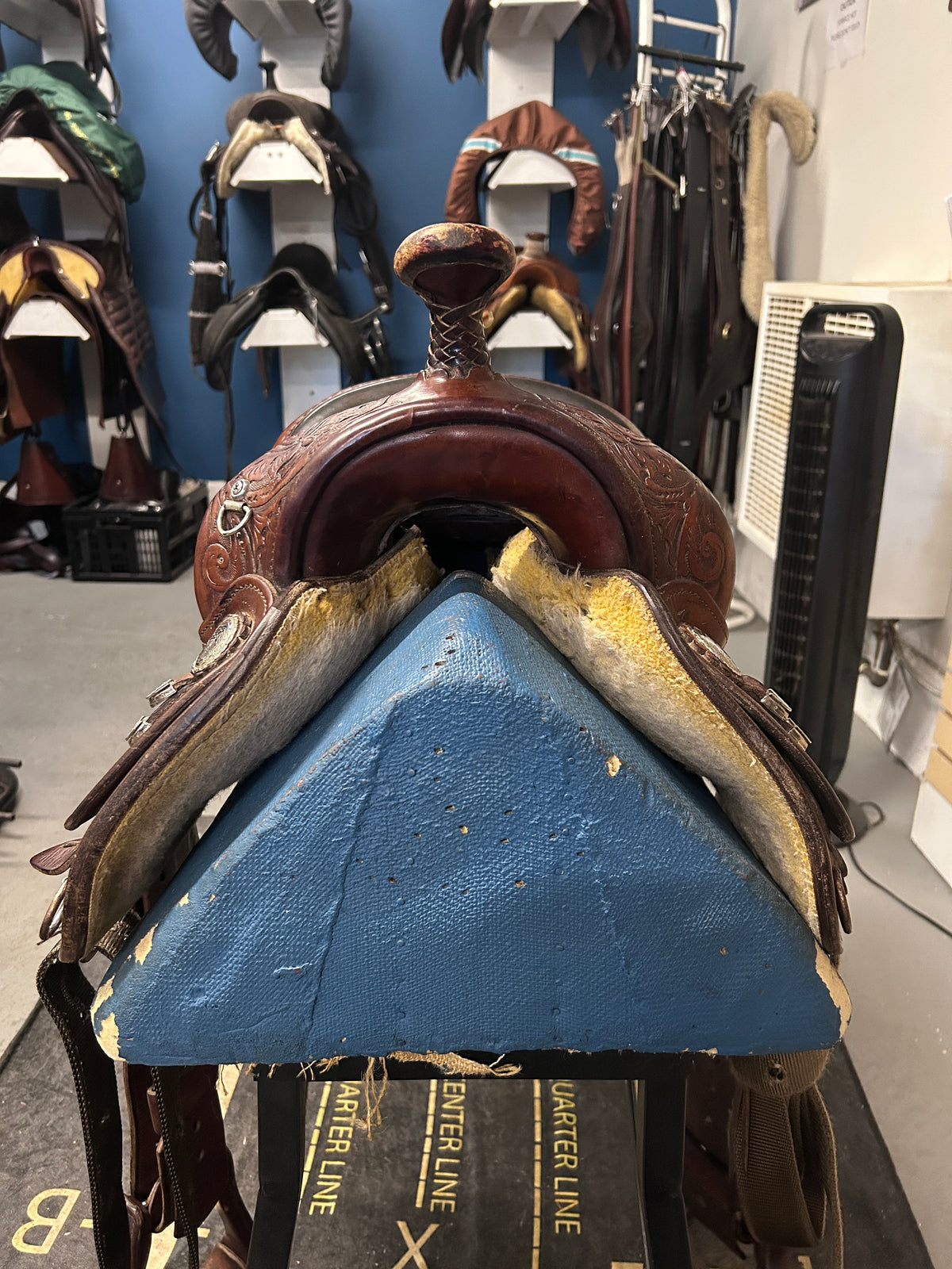 15" Circle Y Equitation Saddle-Saddle-Consignment-Evolution Equestrian Co.
