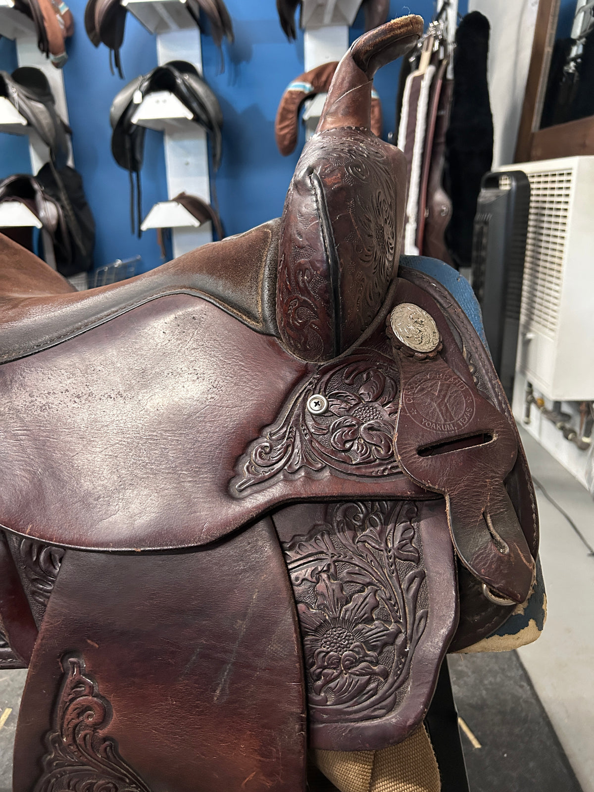 15" Circle Y Equitation Western Saddle-Saddle-Consignment-Evolution Equestrian Co.