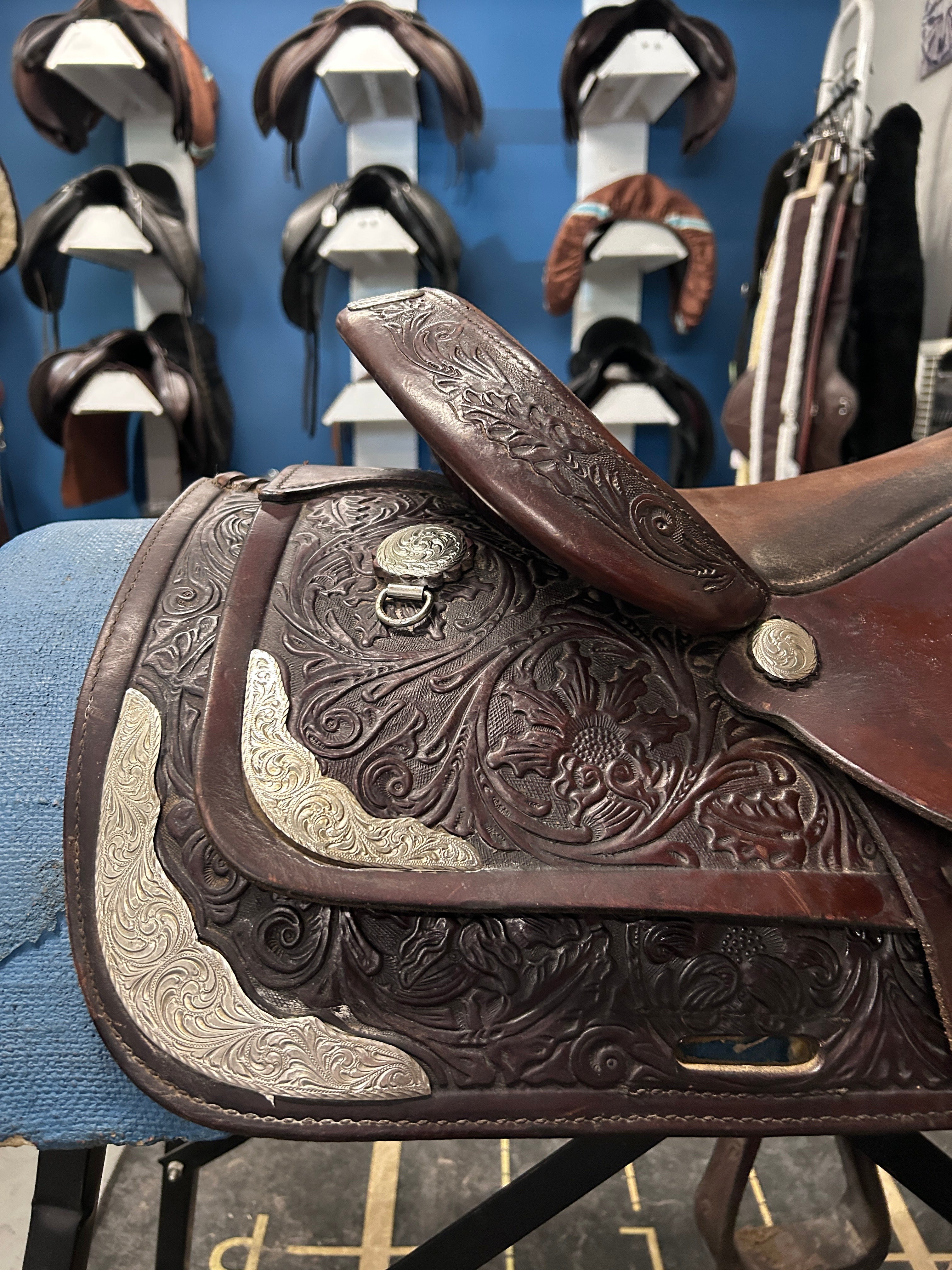 15" Circle Y Equitation Western Saddle-Saddle-Consignment-Evolution Equestrian Co.