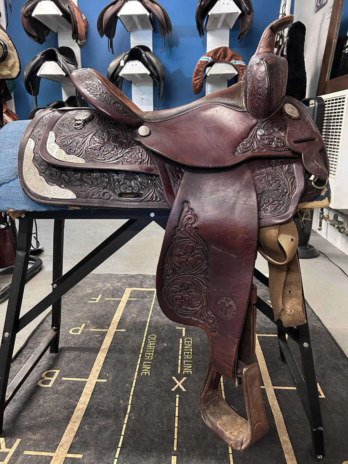 15" Circle Y Equitation Western Saddle-Saddle-Consignment-Evolution Equestrian Co.