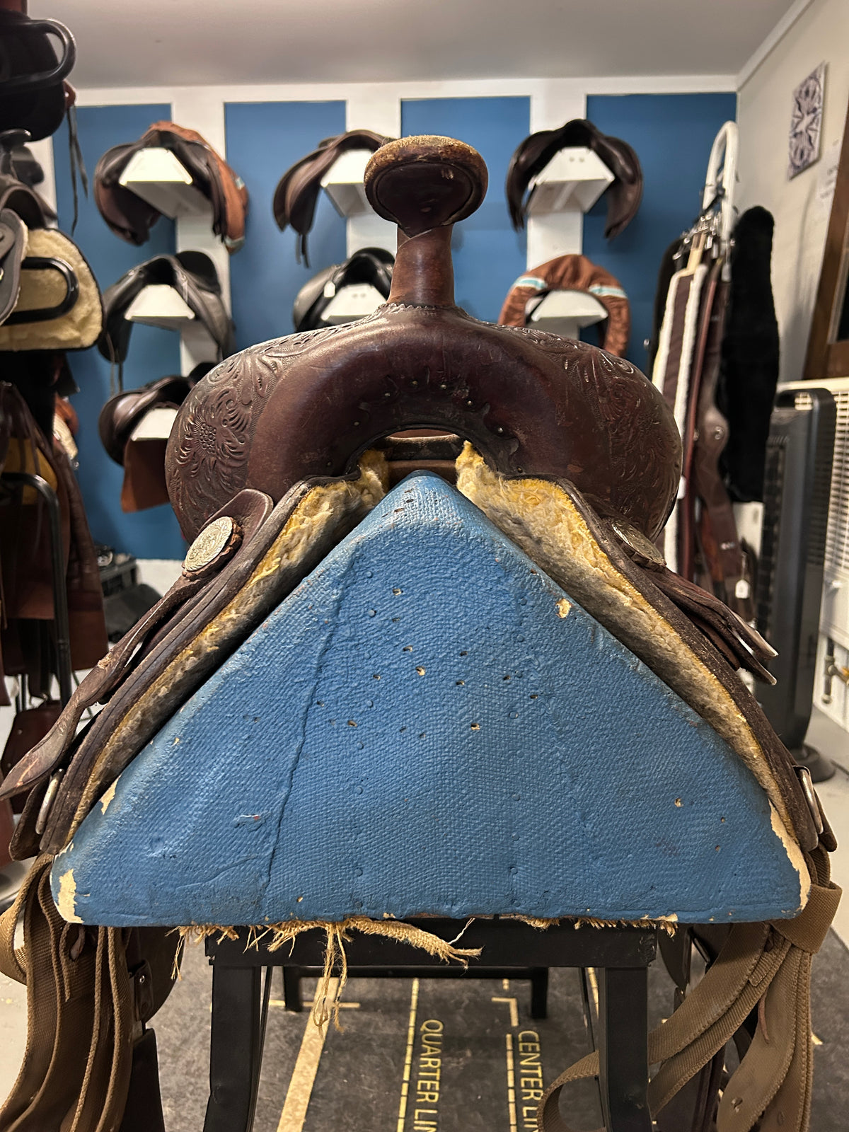15" Circle Y Equitation Western Saddle-Saddle-Consignment-Evolution Equestrian Co.