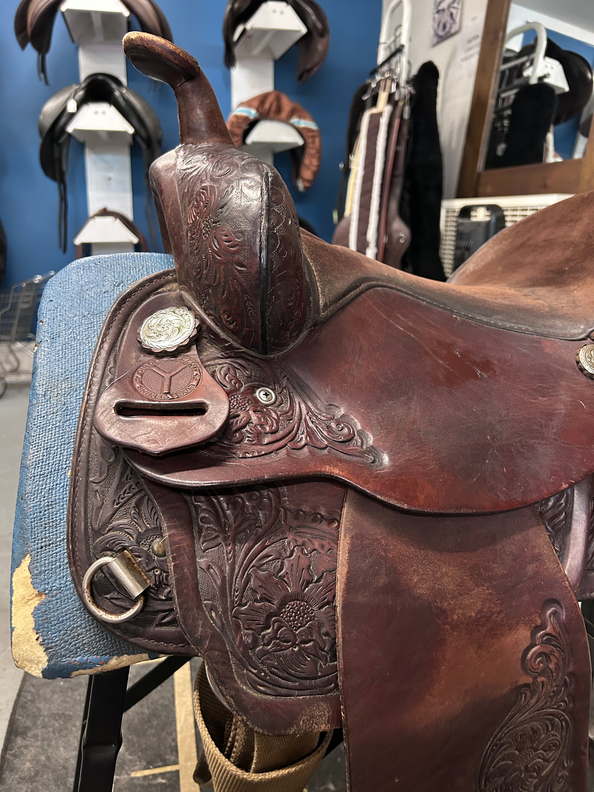 15" Circle Y Equitation Western Saddle-Saddle-Consignment-Evolution Equestrian Co.