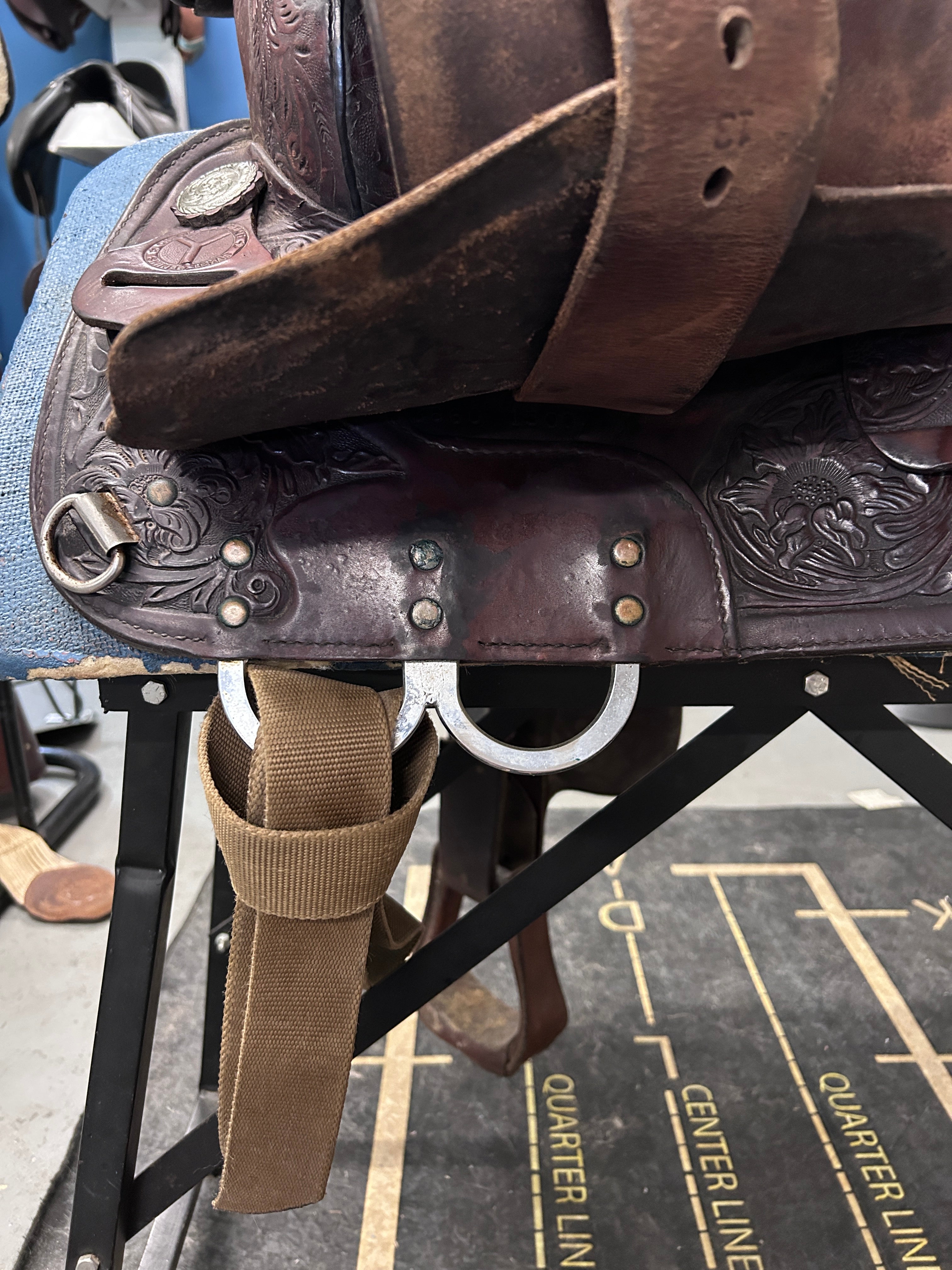 15" Circle Y Equitation Western Saddle-Saddle-Consignment-Evolution Equestrian Co.