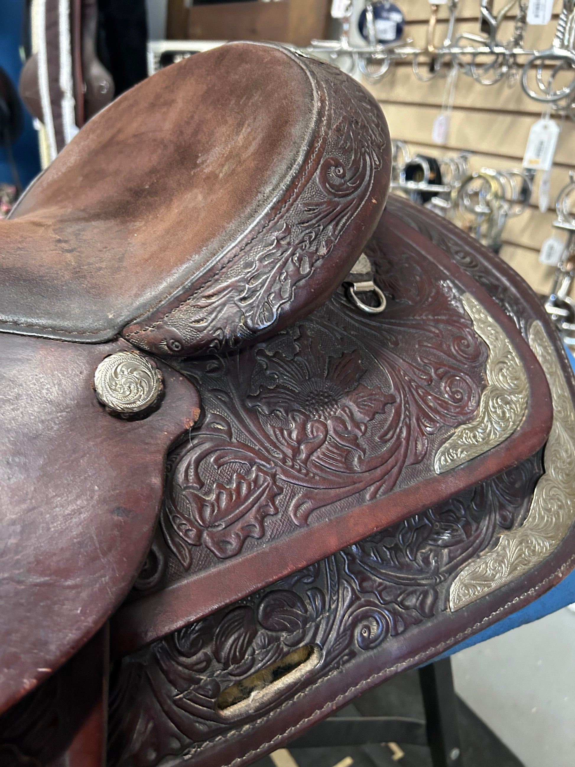 15" Circle Y Equitation Western Saddle-Saddle-Consignment-Evolution Equestrian Co.