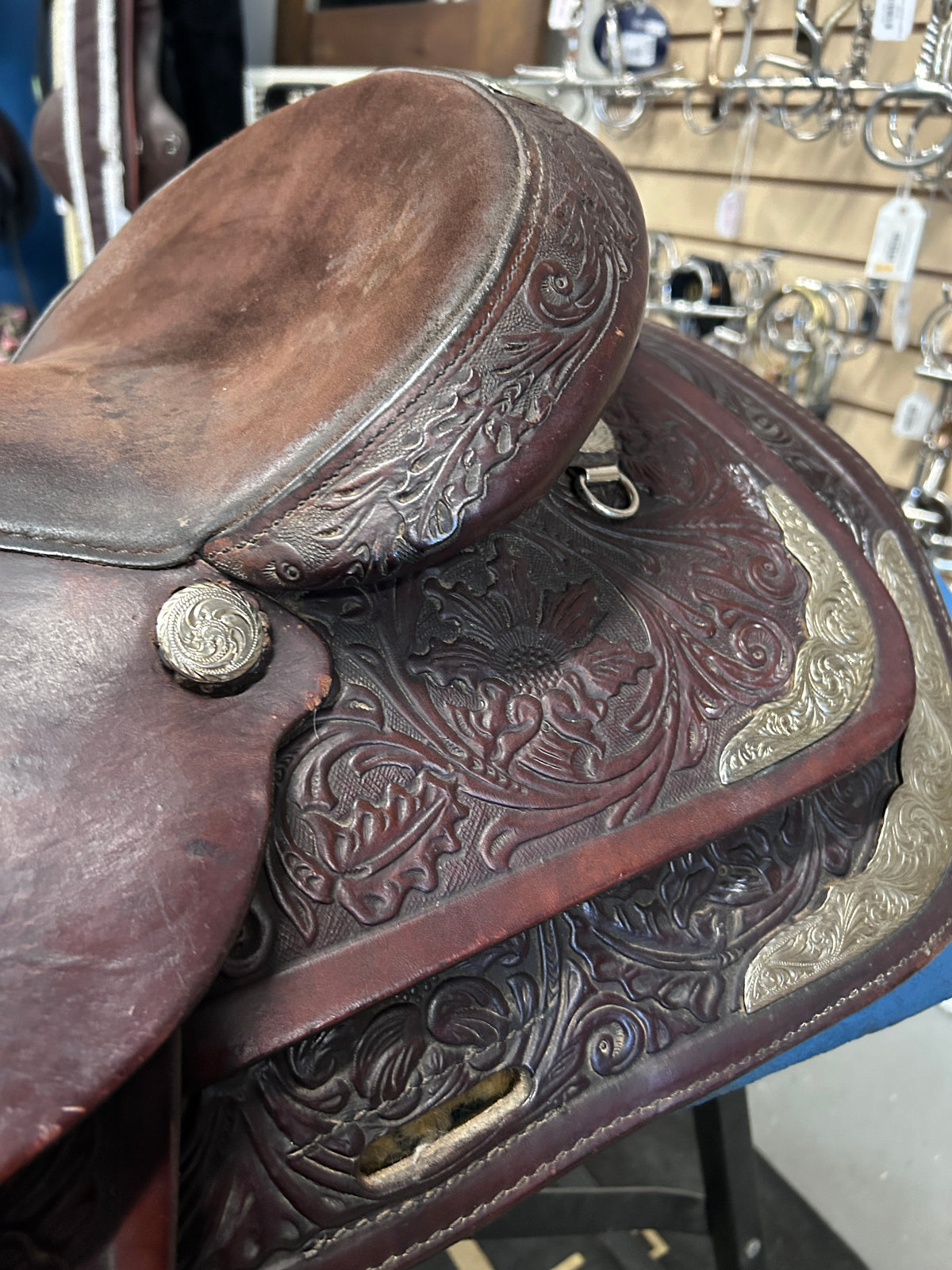 15" Circle Y Equitation Western Saddle-Saddle-Consignment-Evolution Equestrian Co.