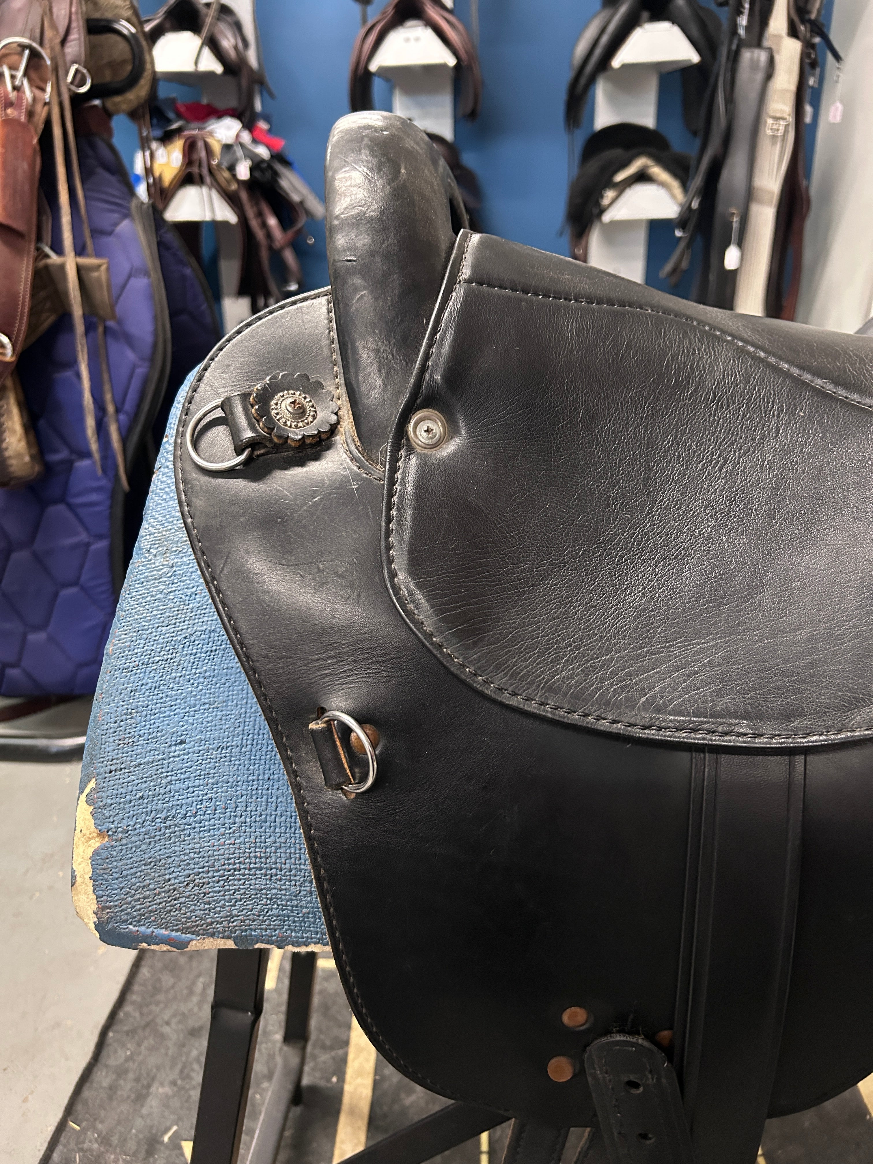 15" Specialized Endurance Saddle-Saddle-Consignment-Evolution Equestrian Co.