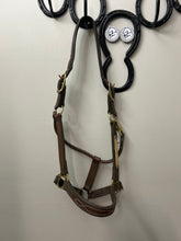 Load image into Gallery viewer, Standing Martingale Warmblood
