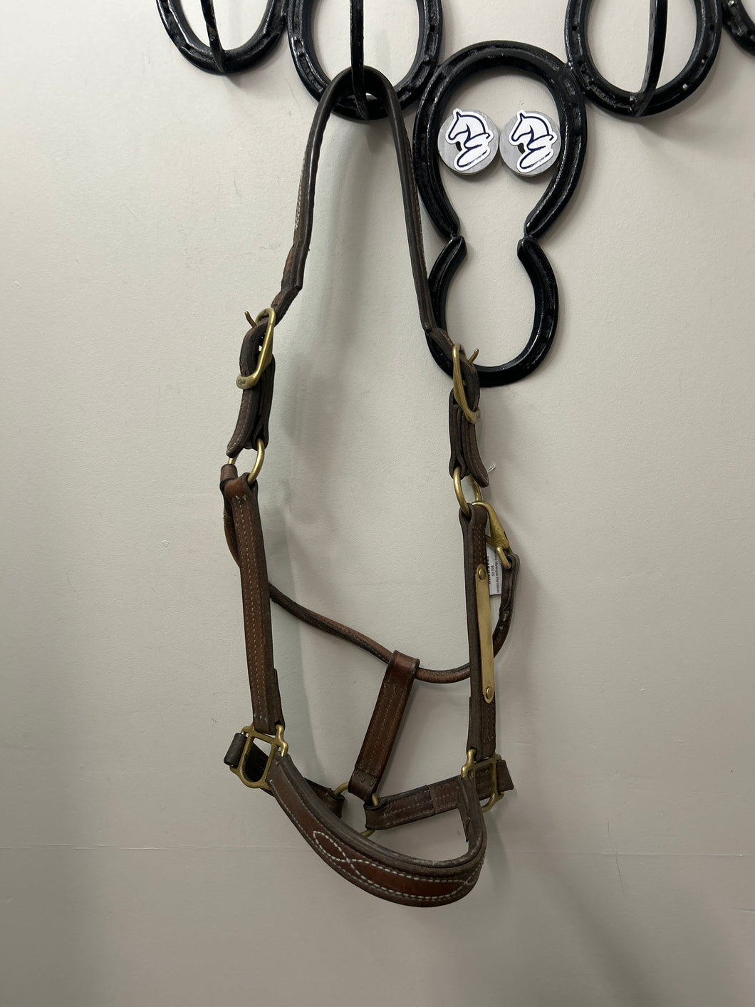 Standing Martingale Warmblood