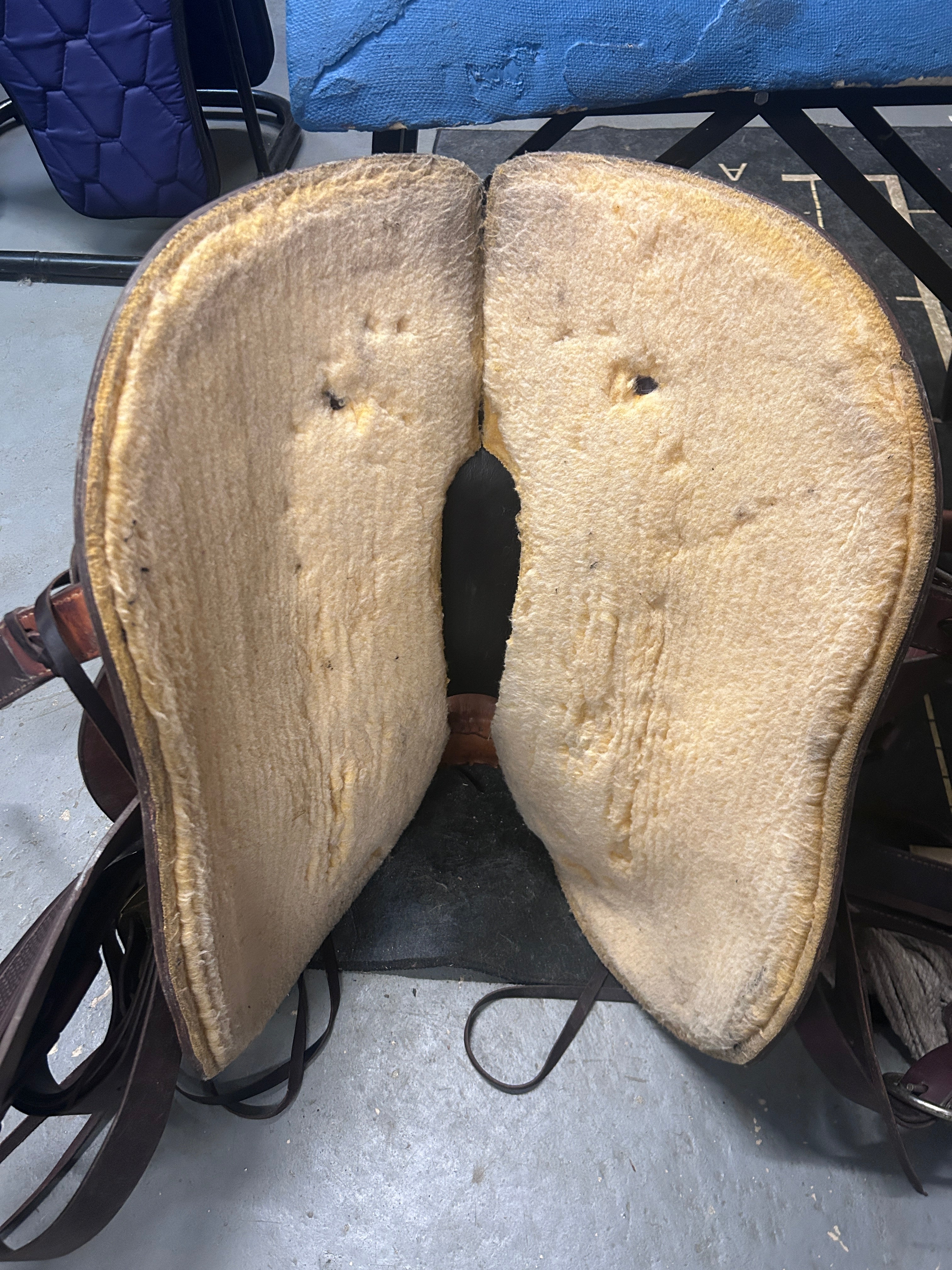 15.5" American Saddlery Mastercraft Roper-Saddle-Consignment-Evolution Equestrian Co.