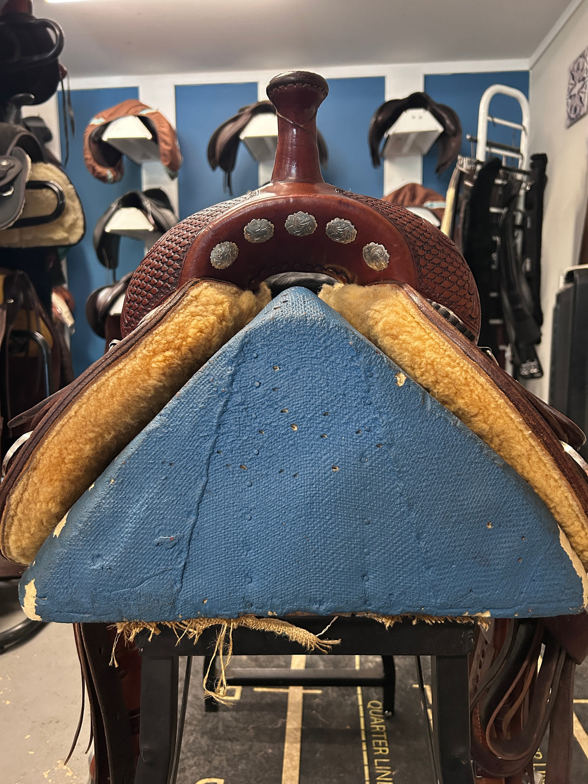 15.5" Continental Western Saddle-Saddle-Consignment-Evolution Equestrian Co.