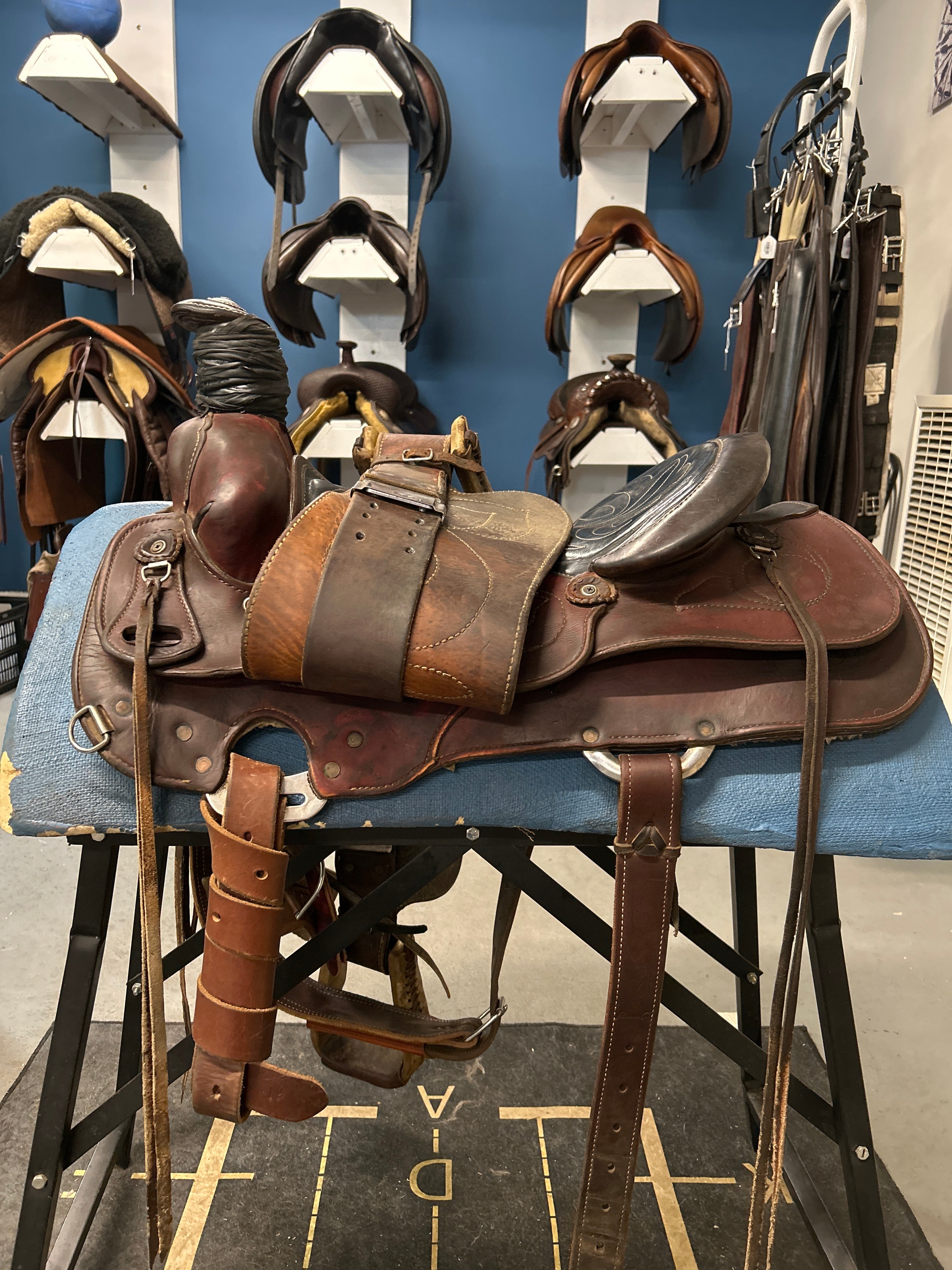 15.5" Eamor Roping Saddle-Saddle-Consignment-Evolution Equestrian Co.