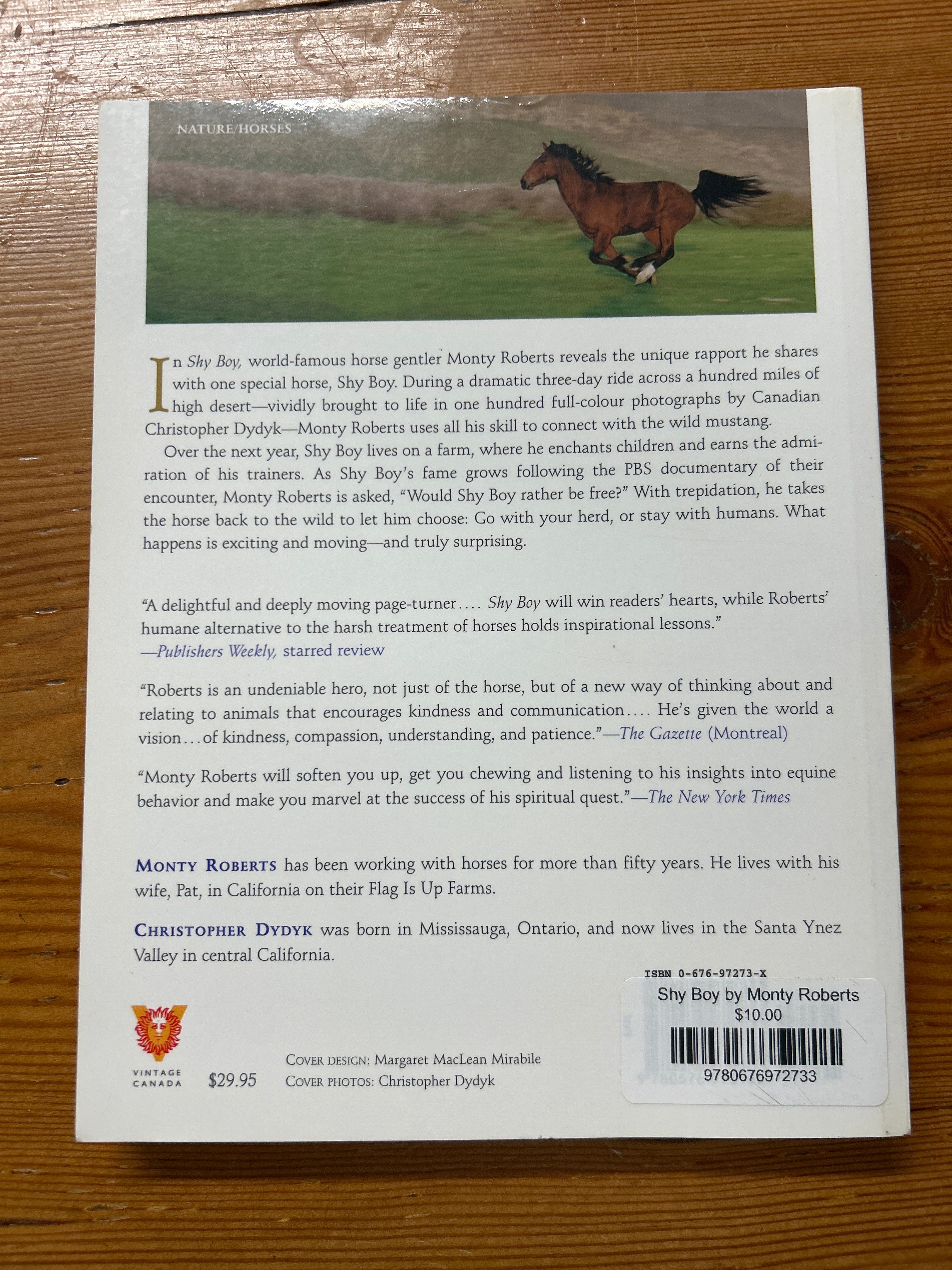 Shy Boy by Monty Roberts