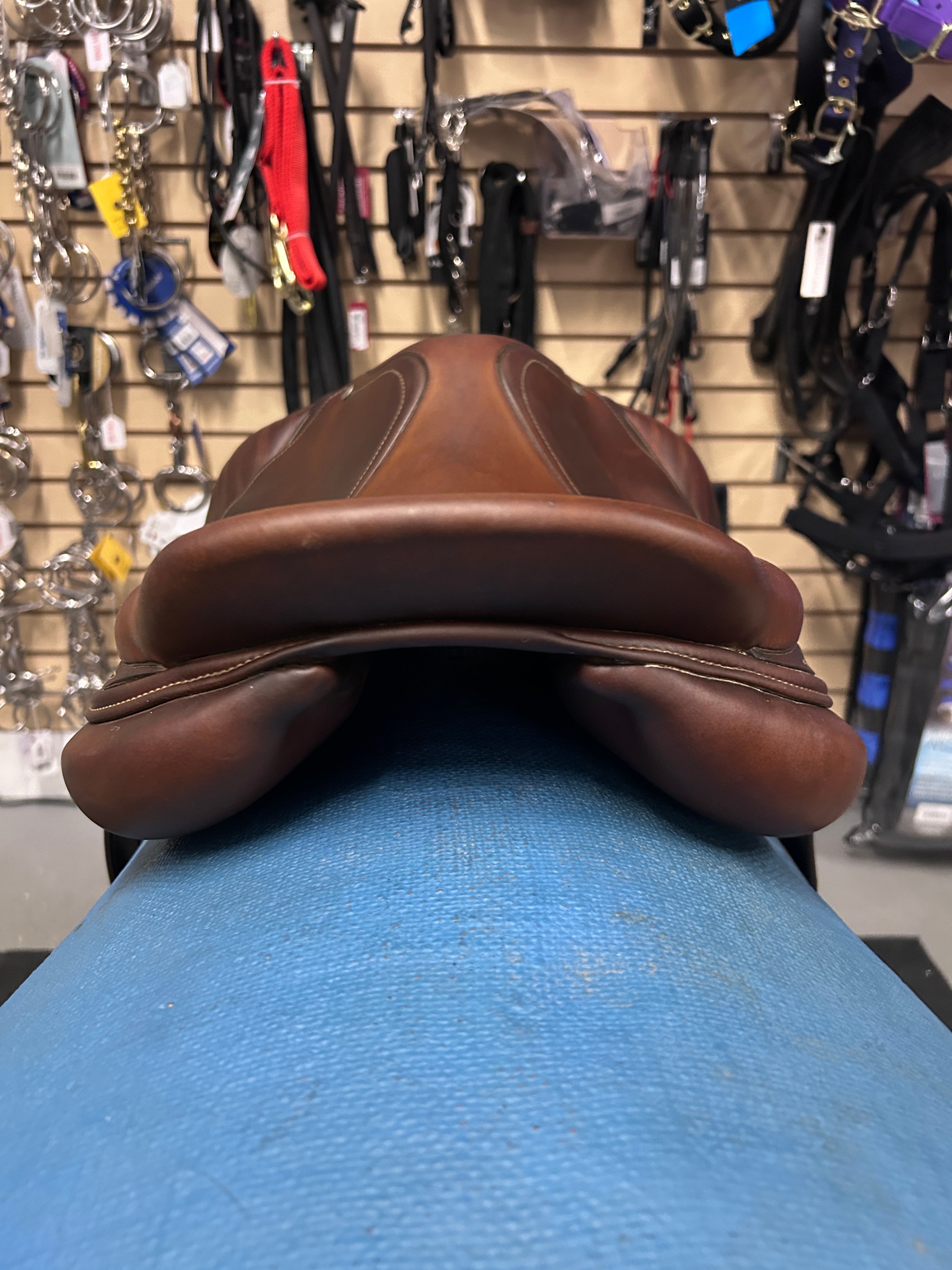 16.5" Antares Classique Close Contact Saddle-Saddle-Consignment-Evolution Equestrian Co.