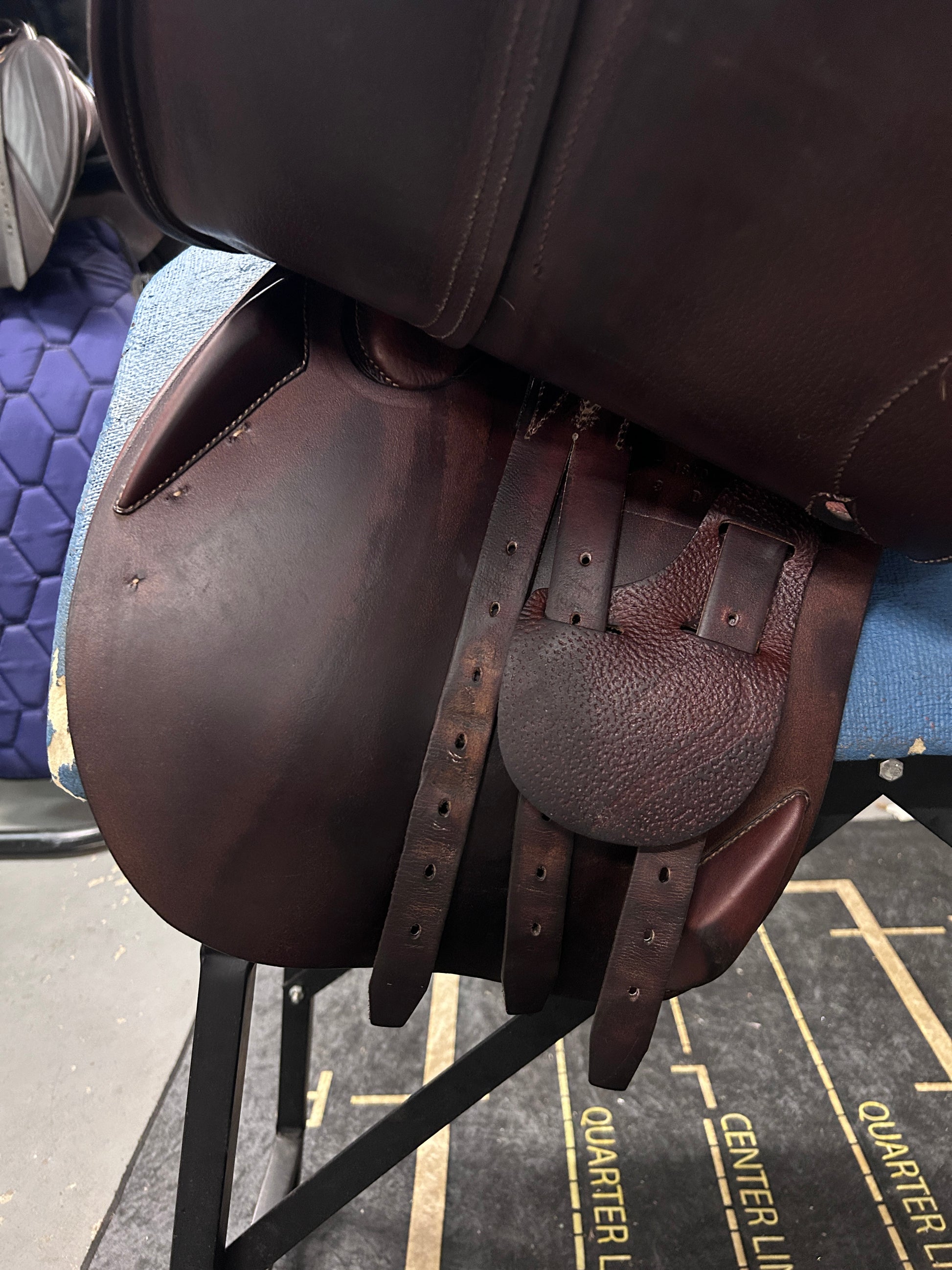 16.5" Antares Classique Close Contact Saddle-Saddle-Consignment-Evolution Equestrian Co.
