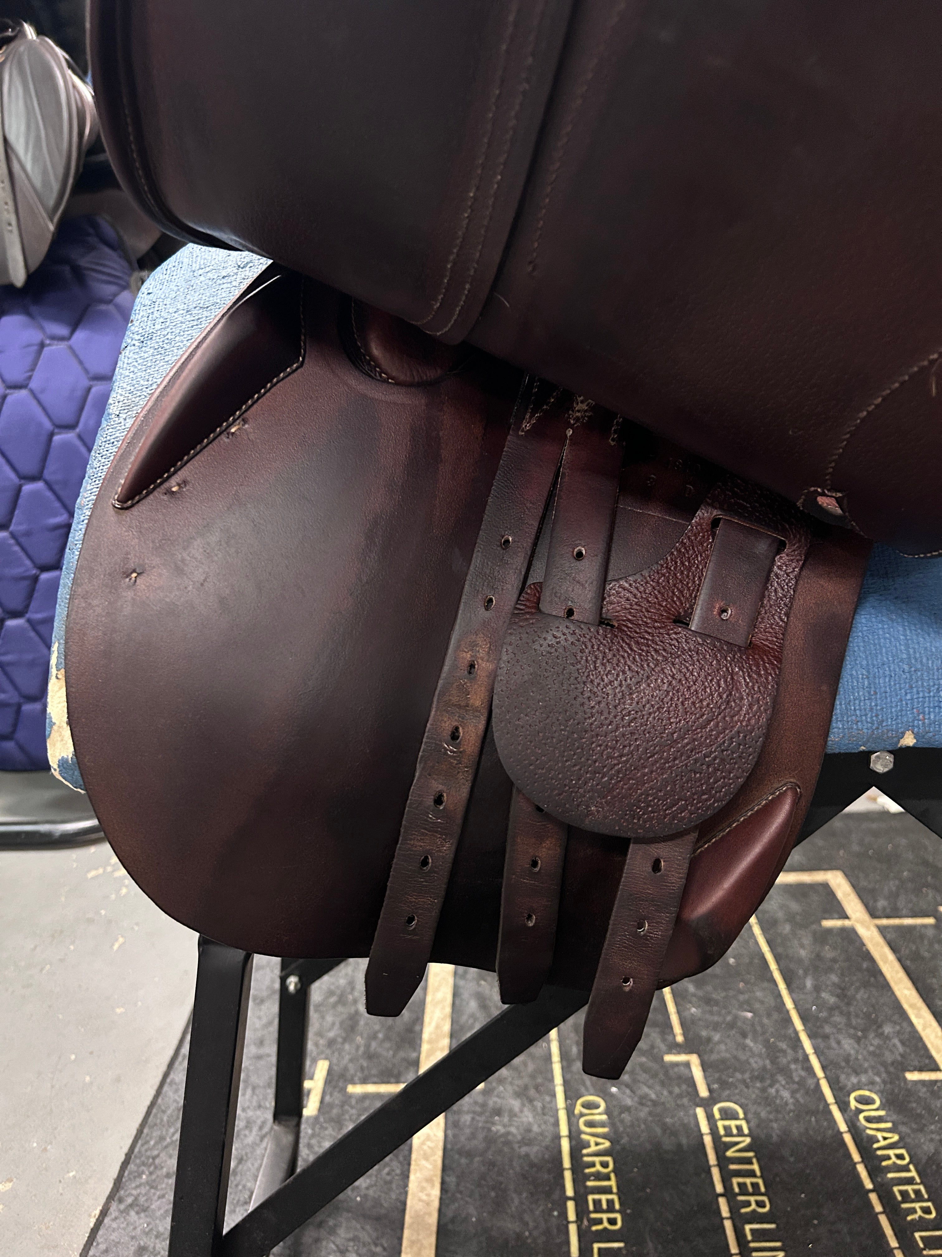 16.5" Antares Classique Close Contact Saddle-Saddle-Consignment-Evolution Equestrian Co.