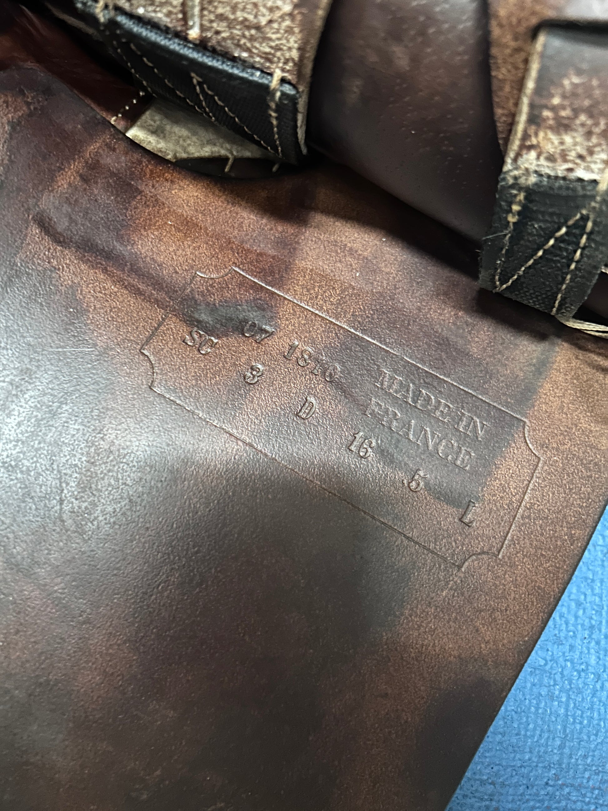 16.5" Antares Classique Close Contact Saddle-Saddle-Consignment-Evolution Equestrian Co.