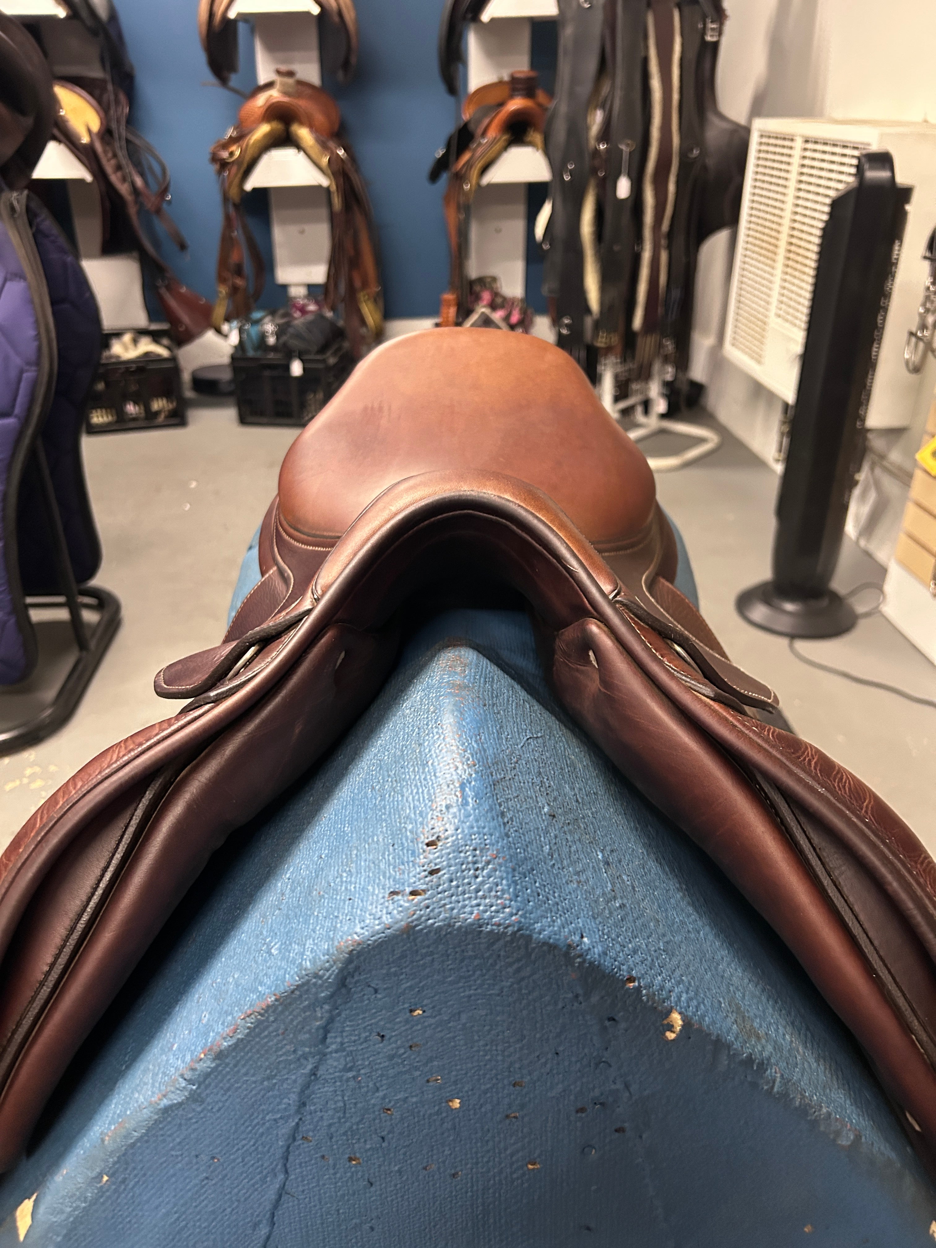 16.5" Antares Classique Close Contact Saddle-Saddle-Consignment-Evolution Equestrian Co.