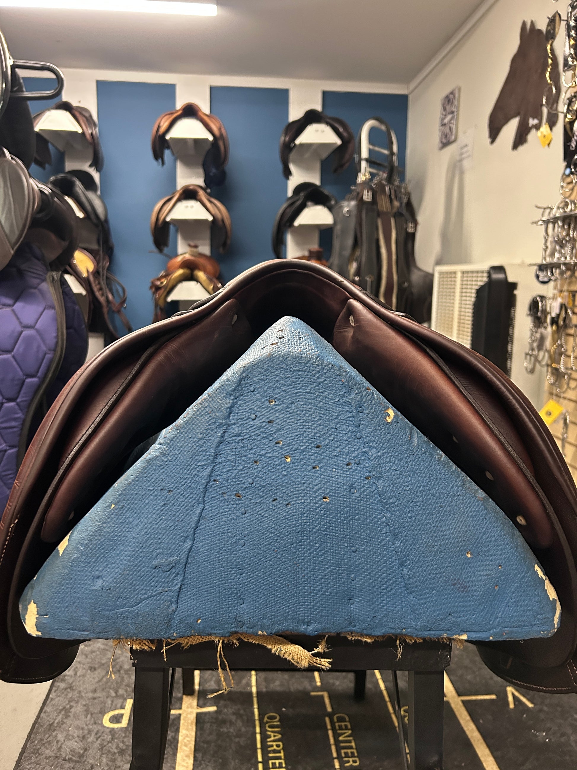 16.5" Antares Classique Close Contact Saddle-Saddle-Consignment-Evolution Equestrian Co.