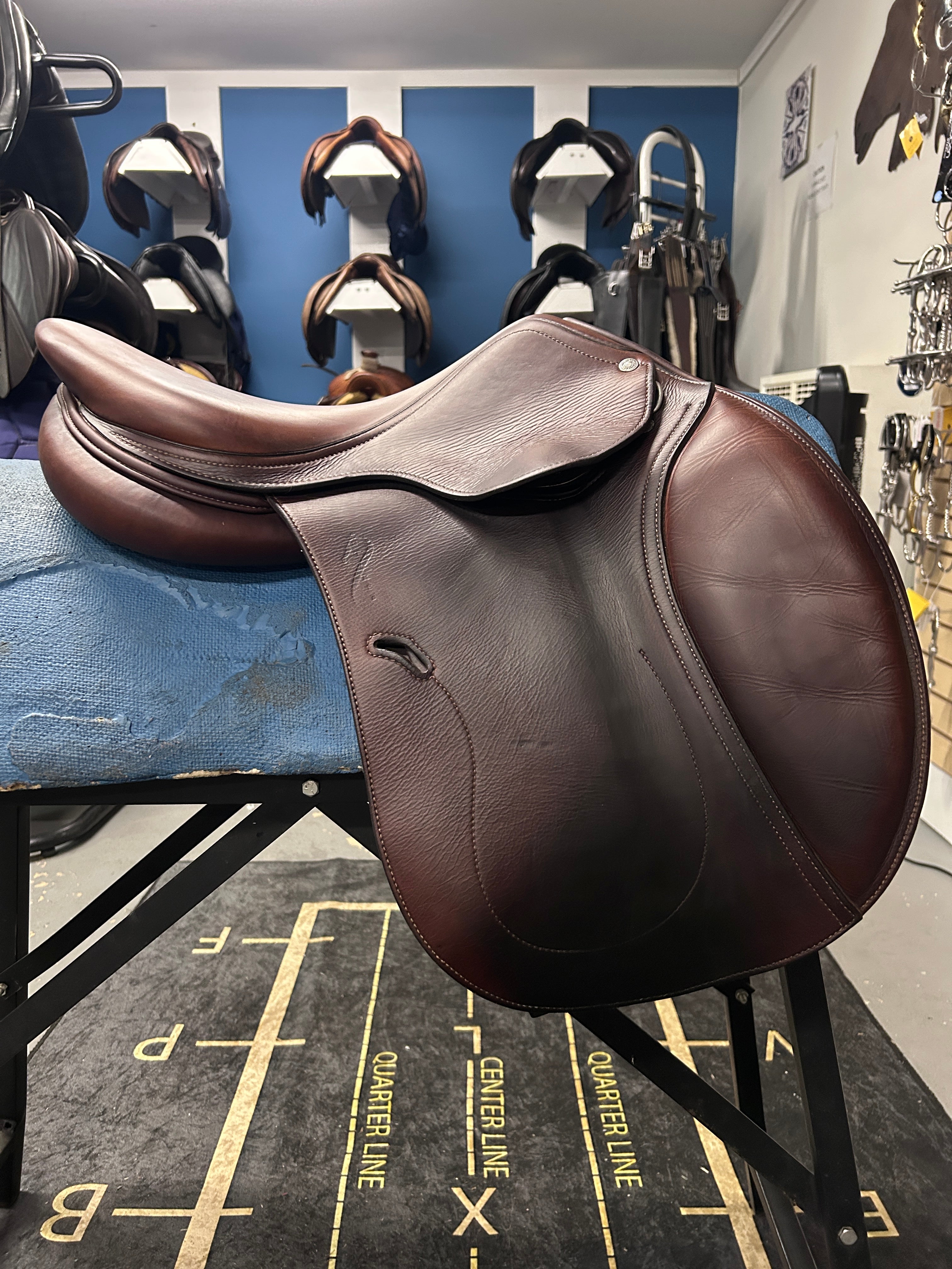 16.5" Antares Classique Close Contact Saddle-Saddle-Consignment-Evolution Equestrian Co.