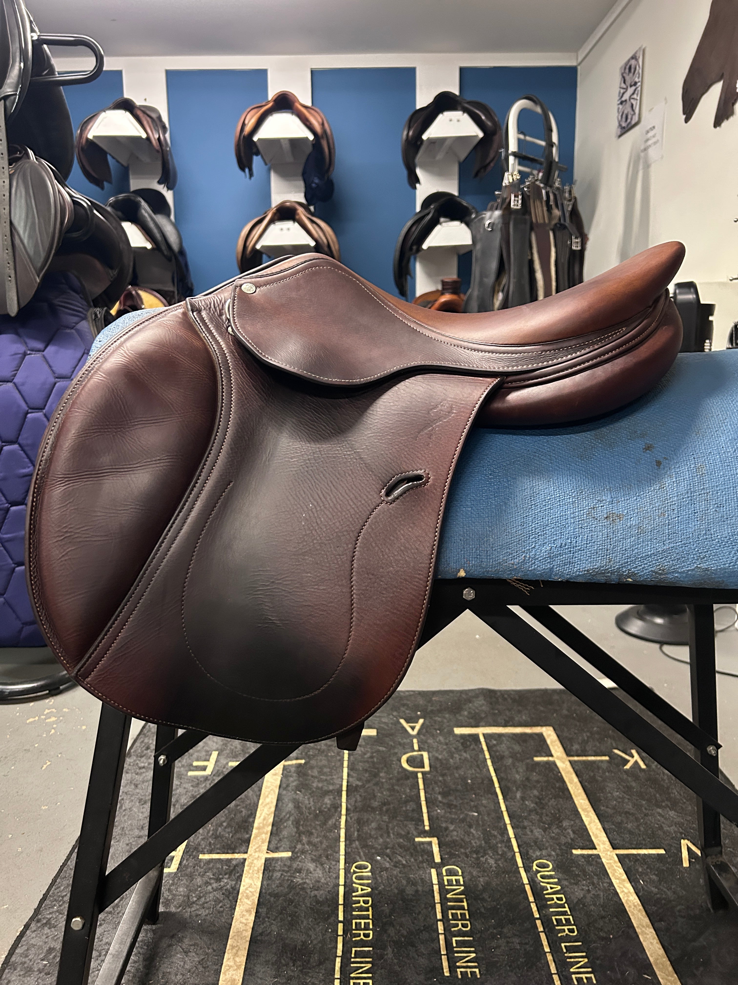 16.5" Antares Classique Close Contact Saddle-Saddle-Consignment-Evolution Equestrian Co.