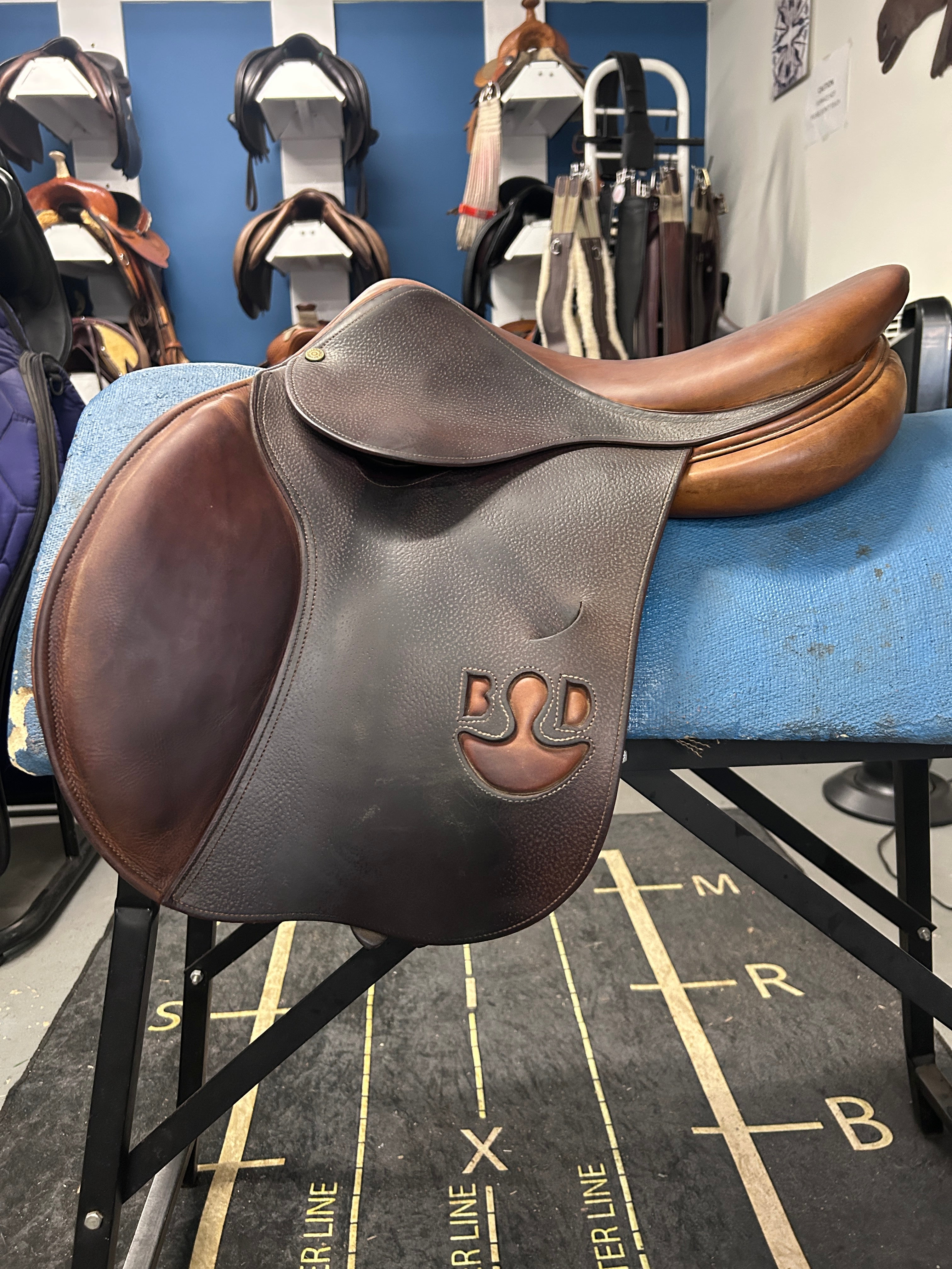 Bruno Delagrande 16.5” Partition-Evolution Equestrian Co.-Evolution Equestrian Co.