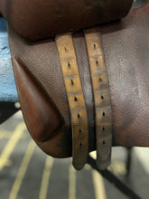 Load image into Gallery viewer, Bruno Delagrande 16.5” Partition-Evolution Equestrian Co.-Evolution Equestrian Co.
