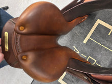 Load image into Gallery viewer, Bruno Delagrande 16.5” Partition-Evolution Equestrian Co.-Evolution Equestrian Co.
