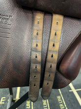 Load image into Gallery viewer, Bruno Delagrande 16.5” Partition-Evolution Equestrian Co.-Evolution Equestrian Co.
