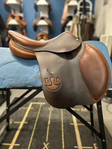 Bruno Delagrande 16.5” Partition-Evolution Equestrian Co.-Evolution Equestrian Co.