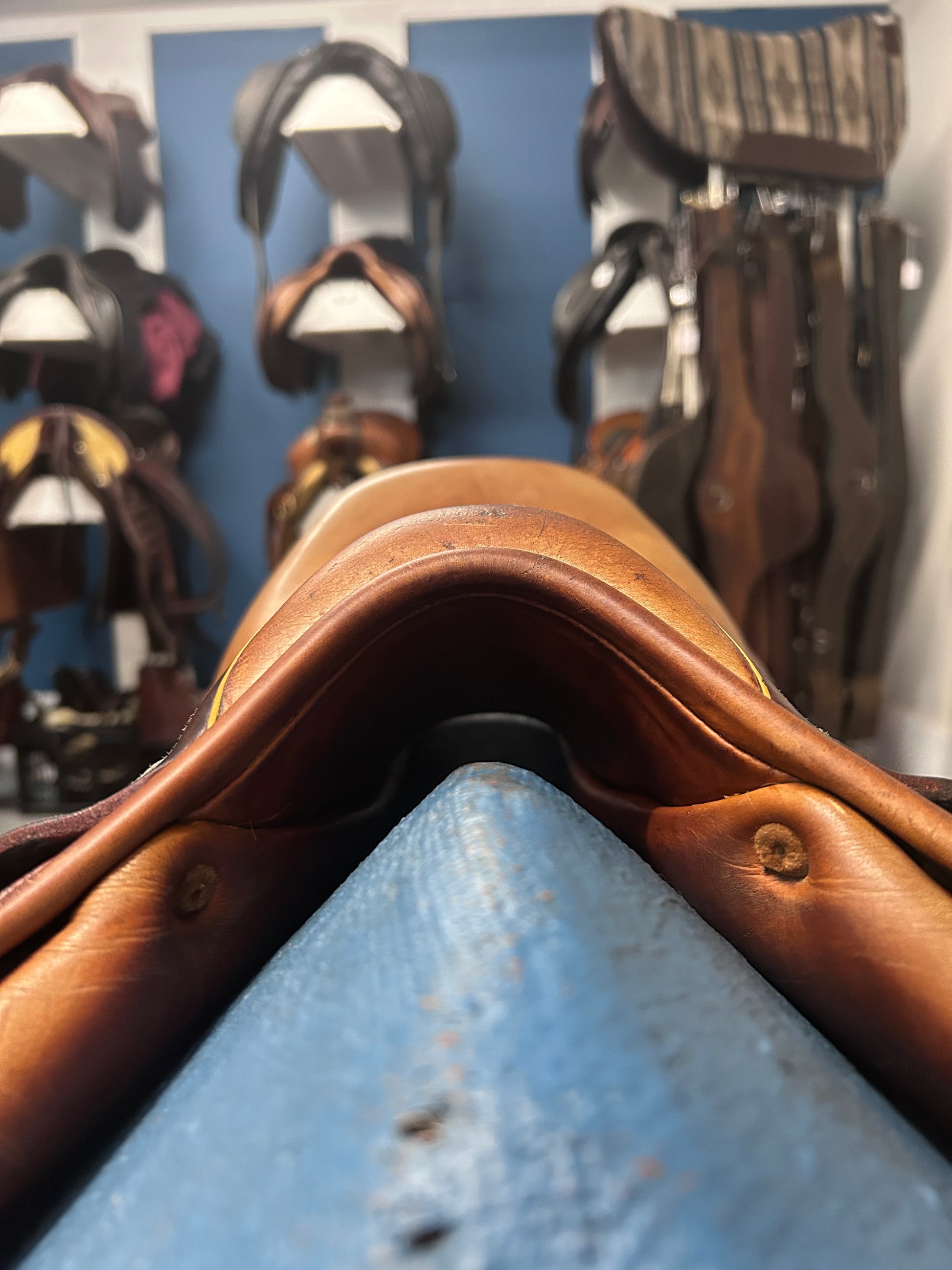 16.5" Childeric FM Close Contact Saddle-Saddle-Consignment-Evolution Equestrian Co.