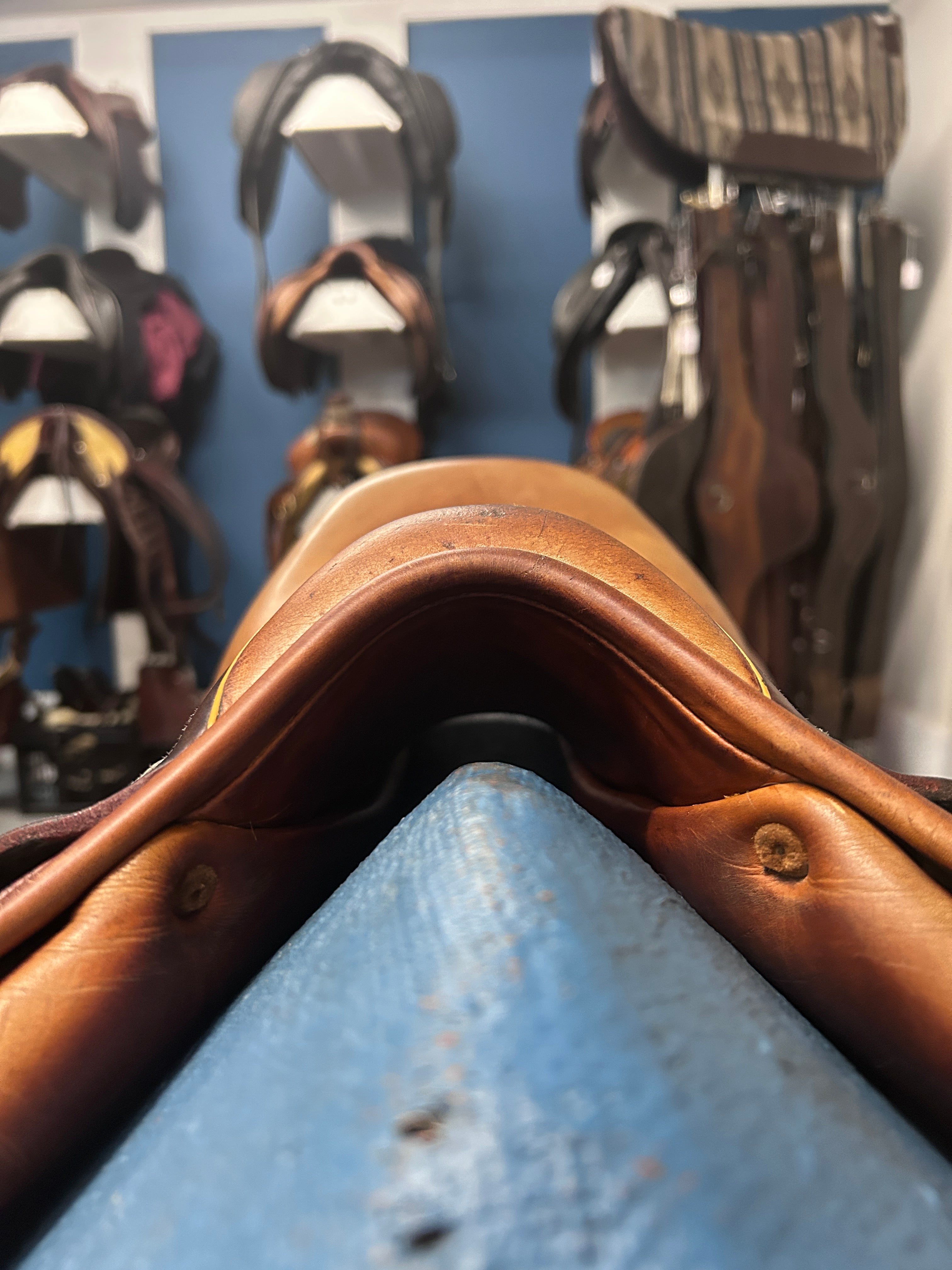 16.5" Childeric FM Close Contact Saddle-Saddle-Consignment-Evolution Equestrian Co.