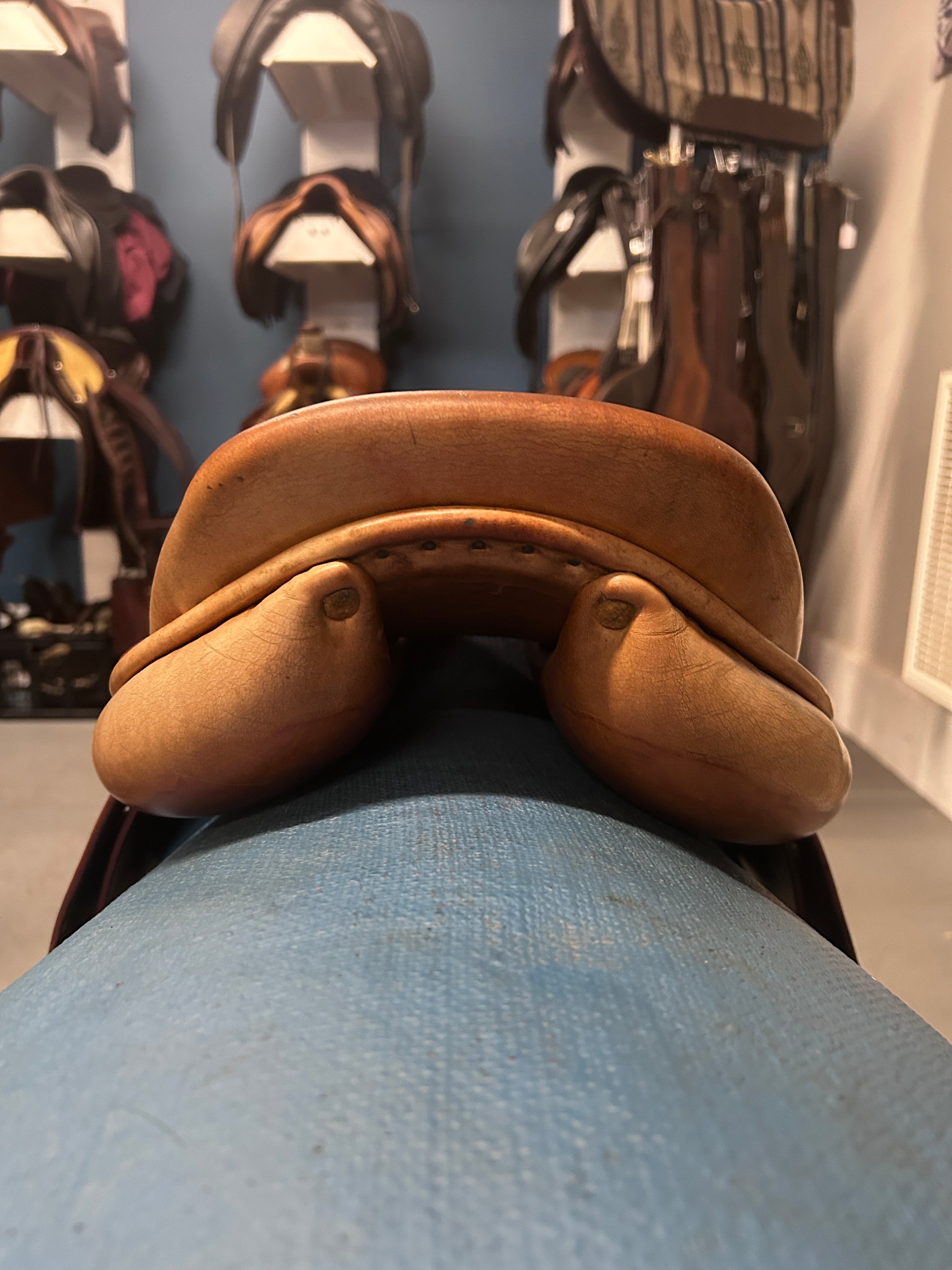 16.5" Childeric FM Close Contact Saddle-Saddle-Consignment-Evolution Equestrian Co.