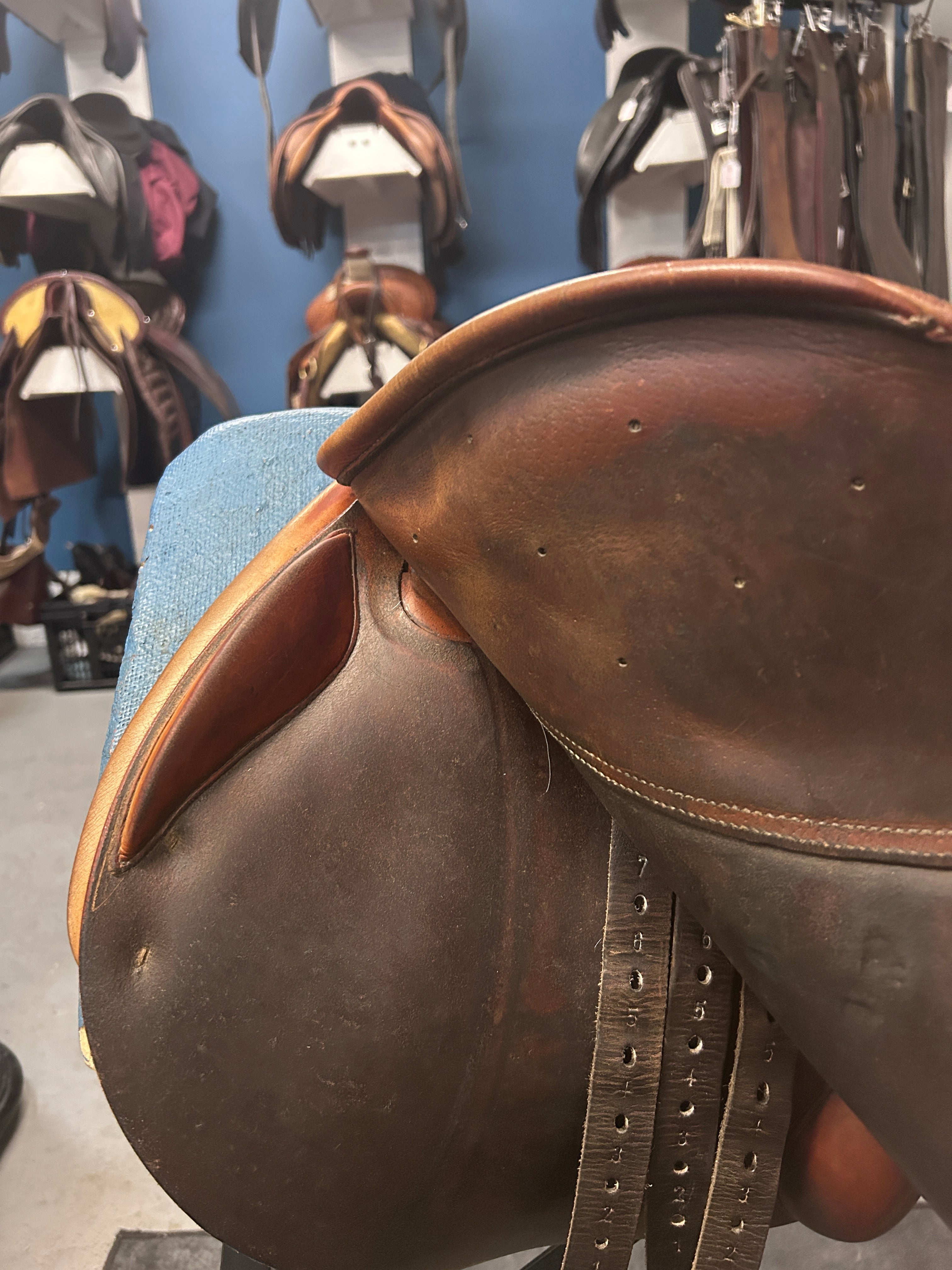16.5" Childeric FM Close Contact Saddle-Saddle-Consignment-Evolution Equestrian Co.