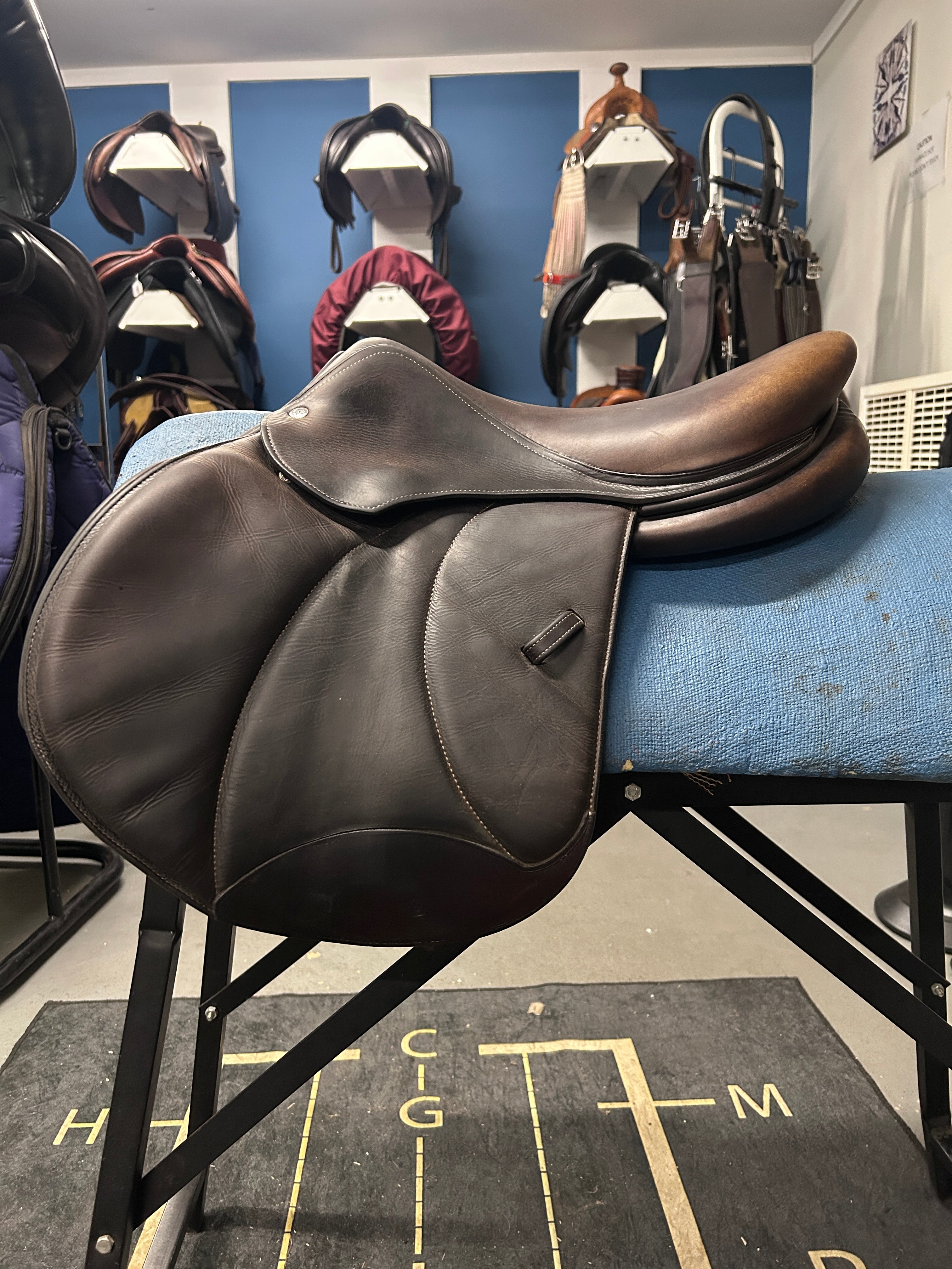 16.5" Voltaire Palm Beach-Saddle-Consignment-Evolution Equestrian Co.