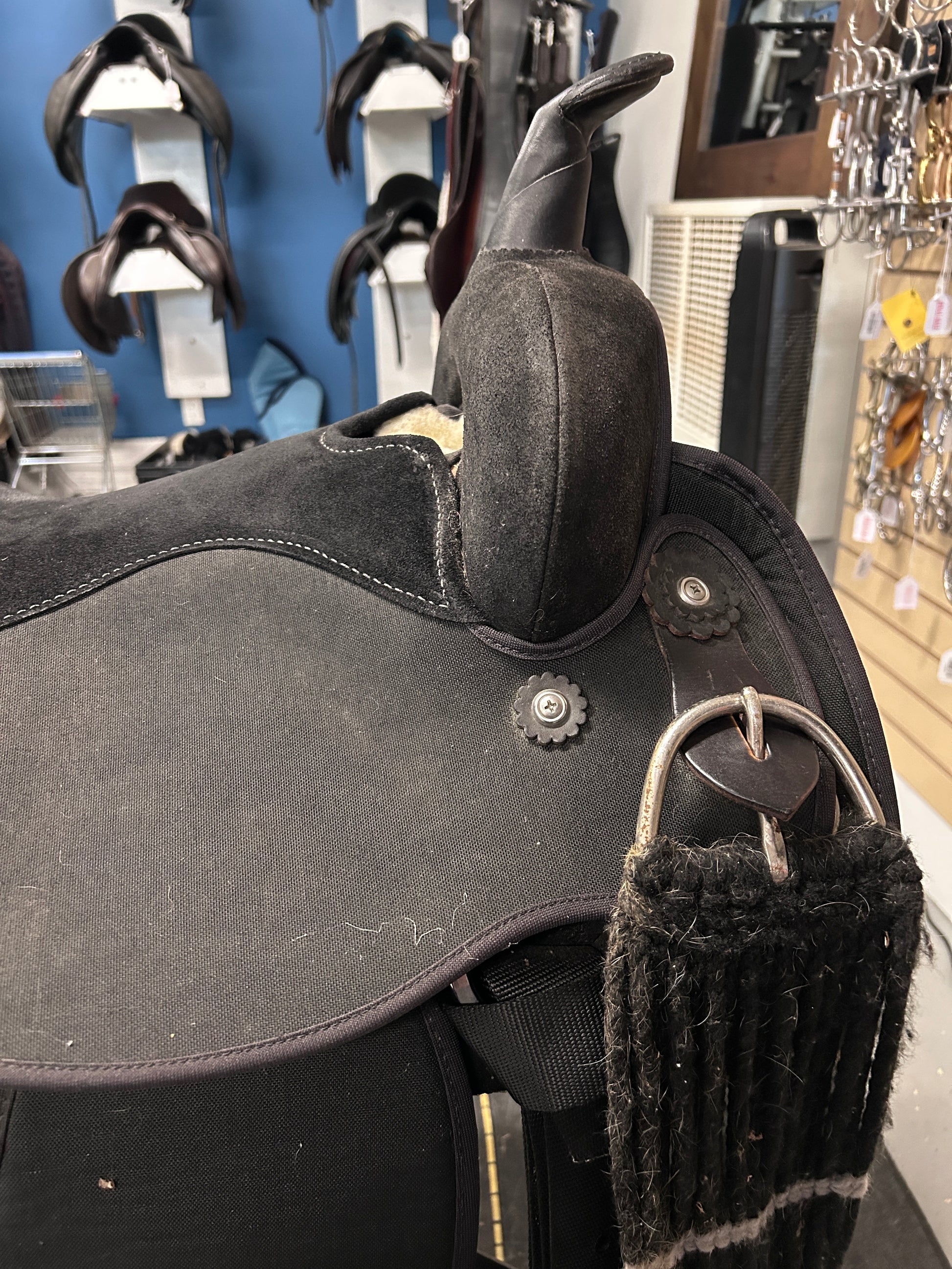 17" Circle Y Condura Trail Saddle-Saddle-Consignment-Evolution Equestrian Co.
