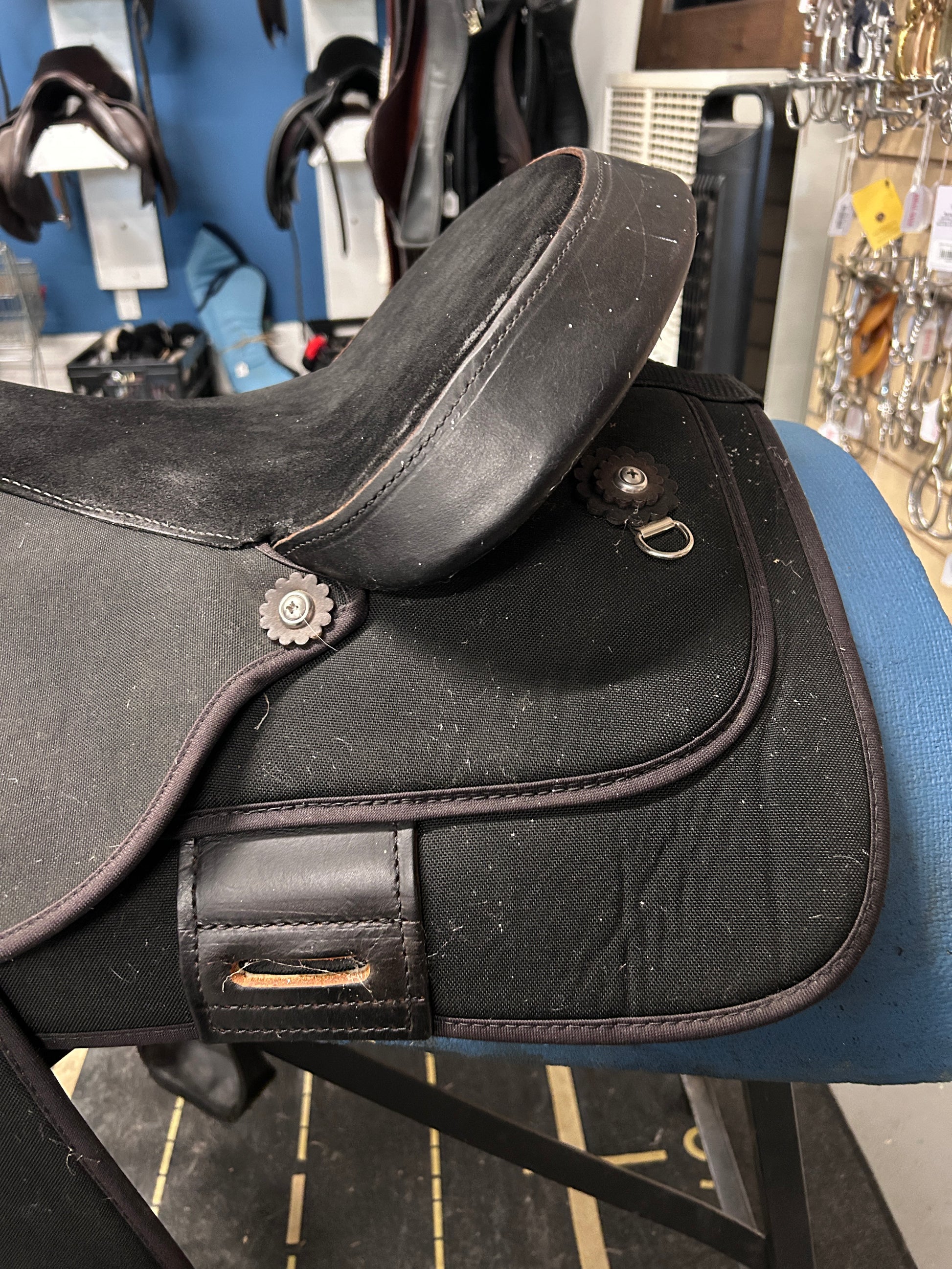 17" Circle Y Condura Trail Saddle-Saddle-Consignment-Evolution Equestrian Co.