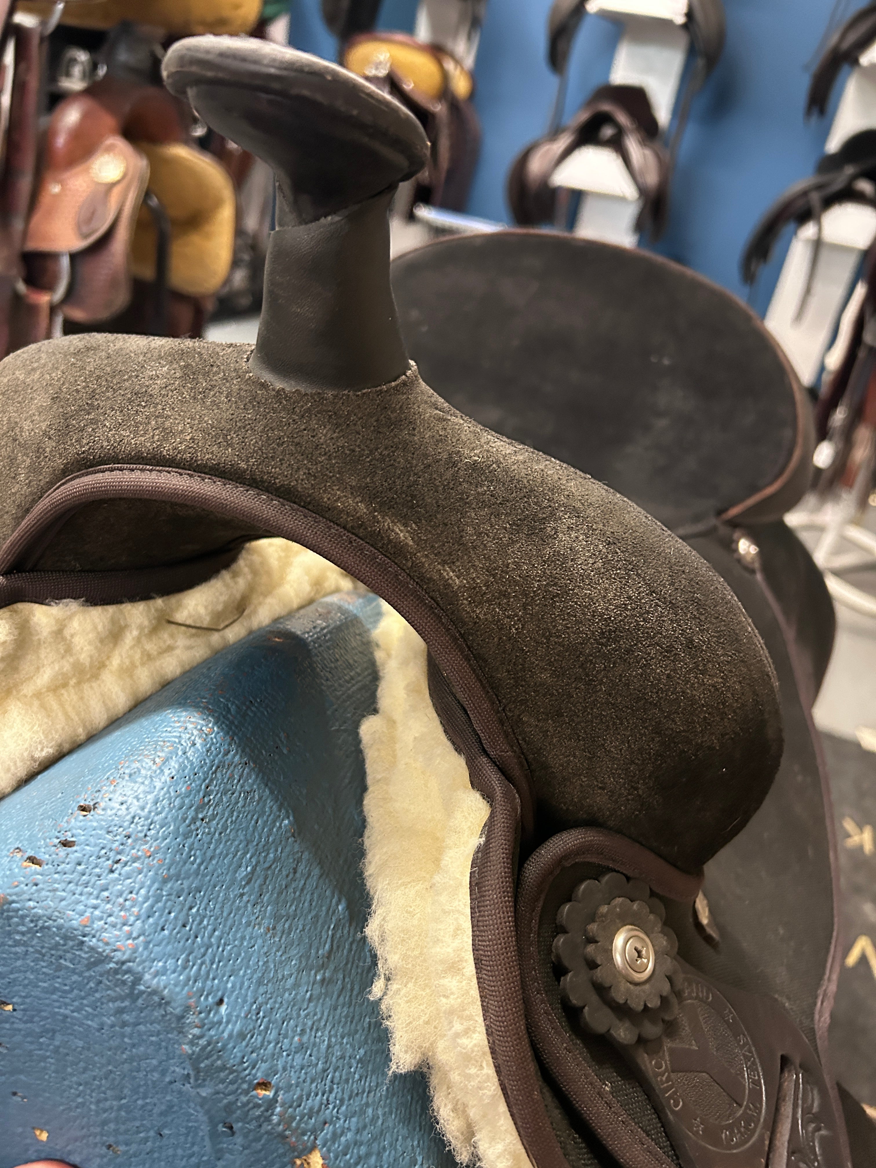 17" Circle Y Condura Trail Saddle-Saddle-Consignment-Evolution Equestrian Co.