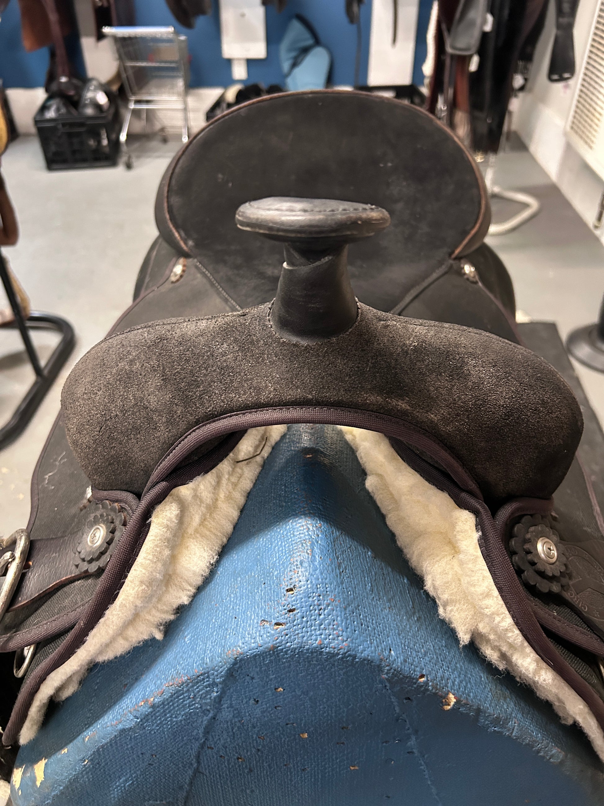 17" Circle Y Condura Trail Saddle-Saddle-Consignment-Evolution Equestrian Co.